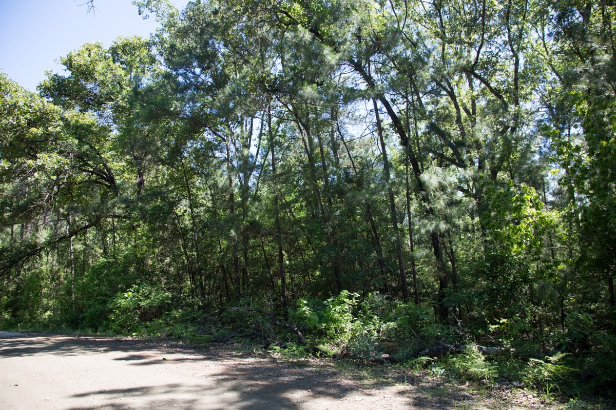 Rayburn Country Tract 306 photo 2