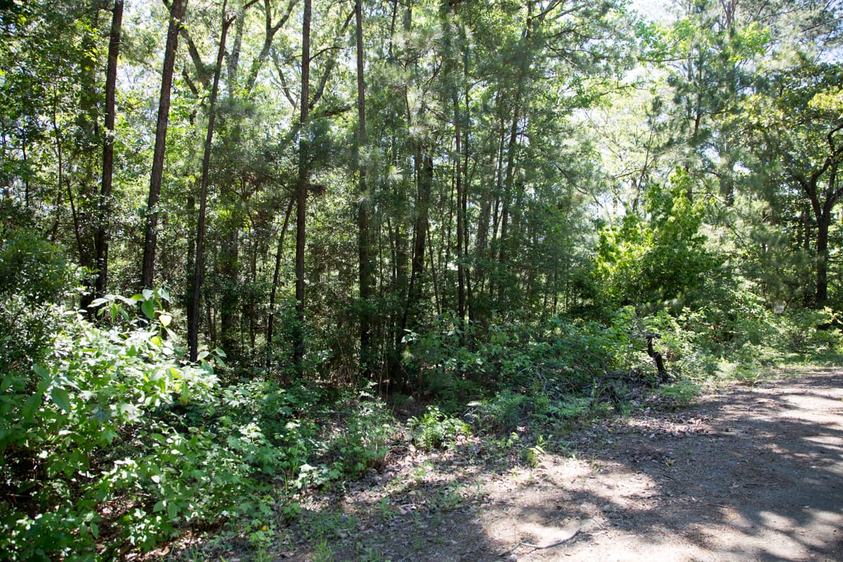Rayburn Country Tract 306 photo 5