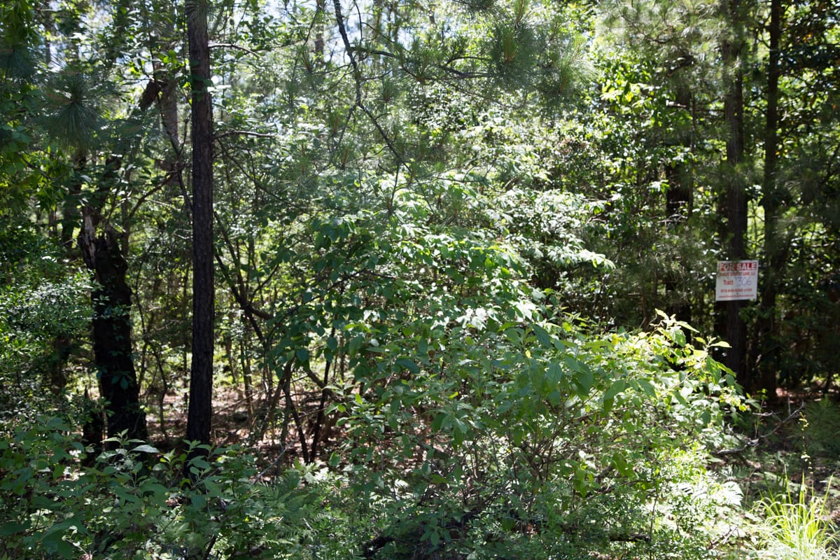 Rayburn Country Tract 306 photo 9