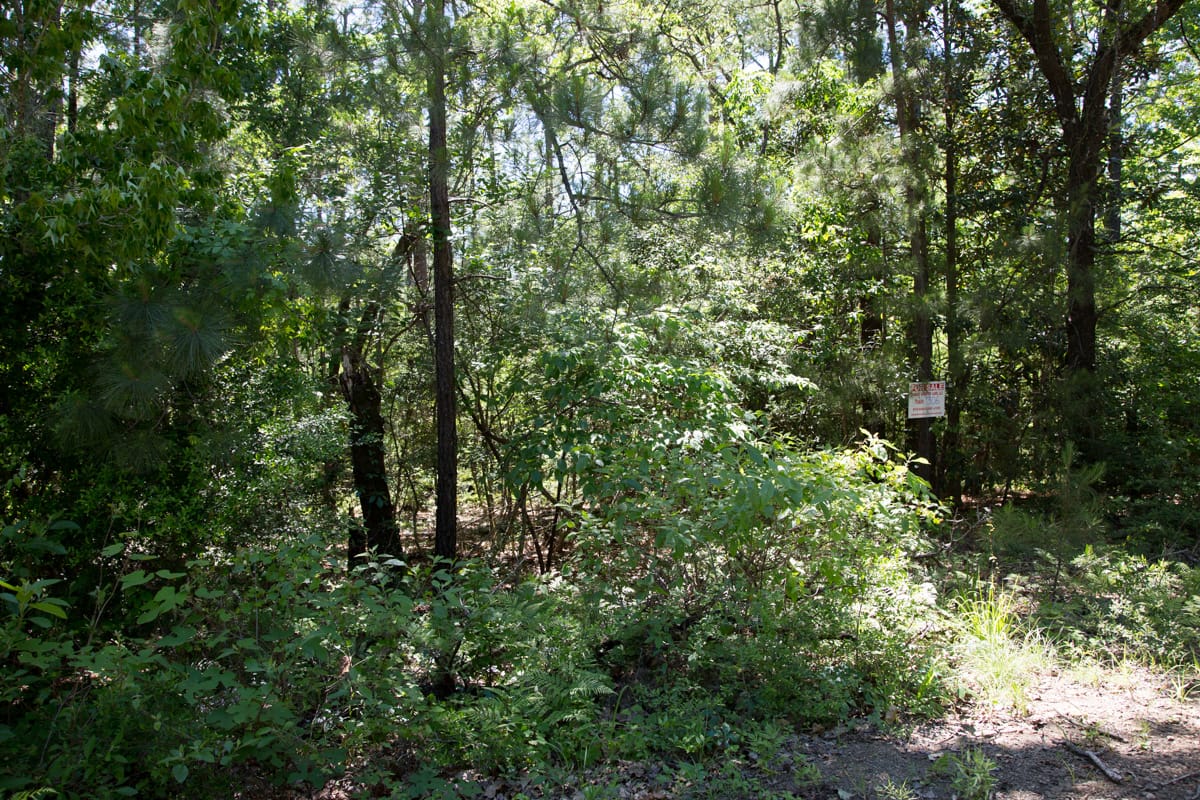 Rayburn Country Tract 306 photo 10