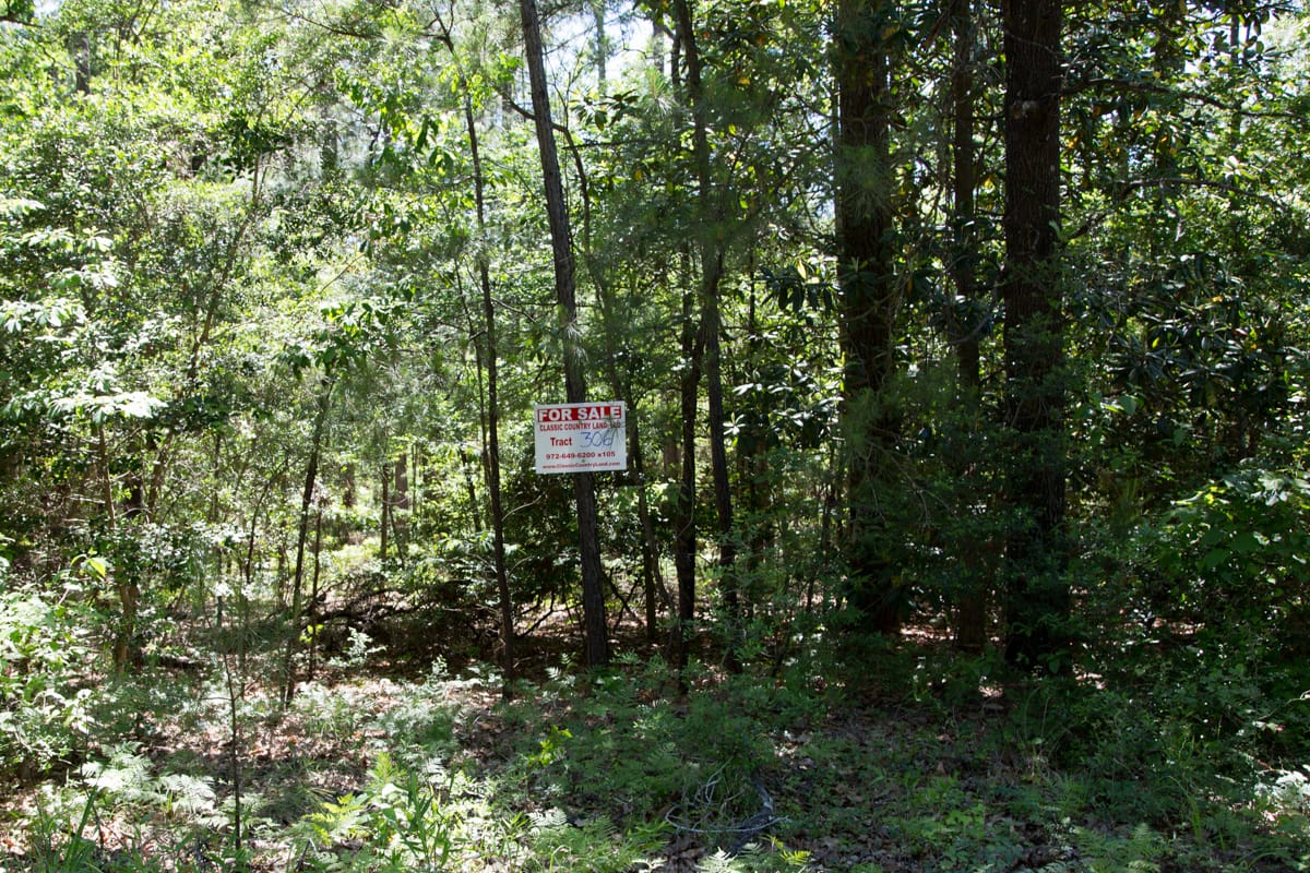 Rayburn Country Tract 306 photo 1