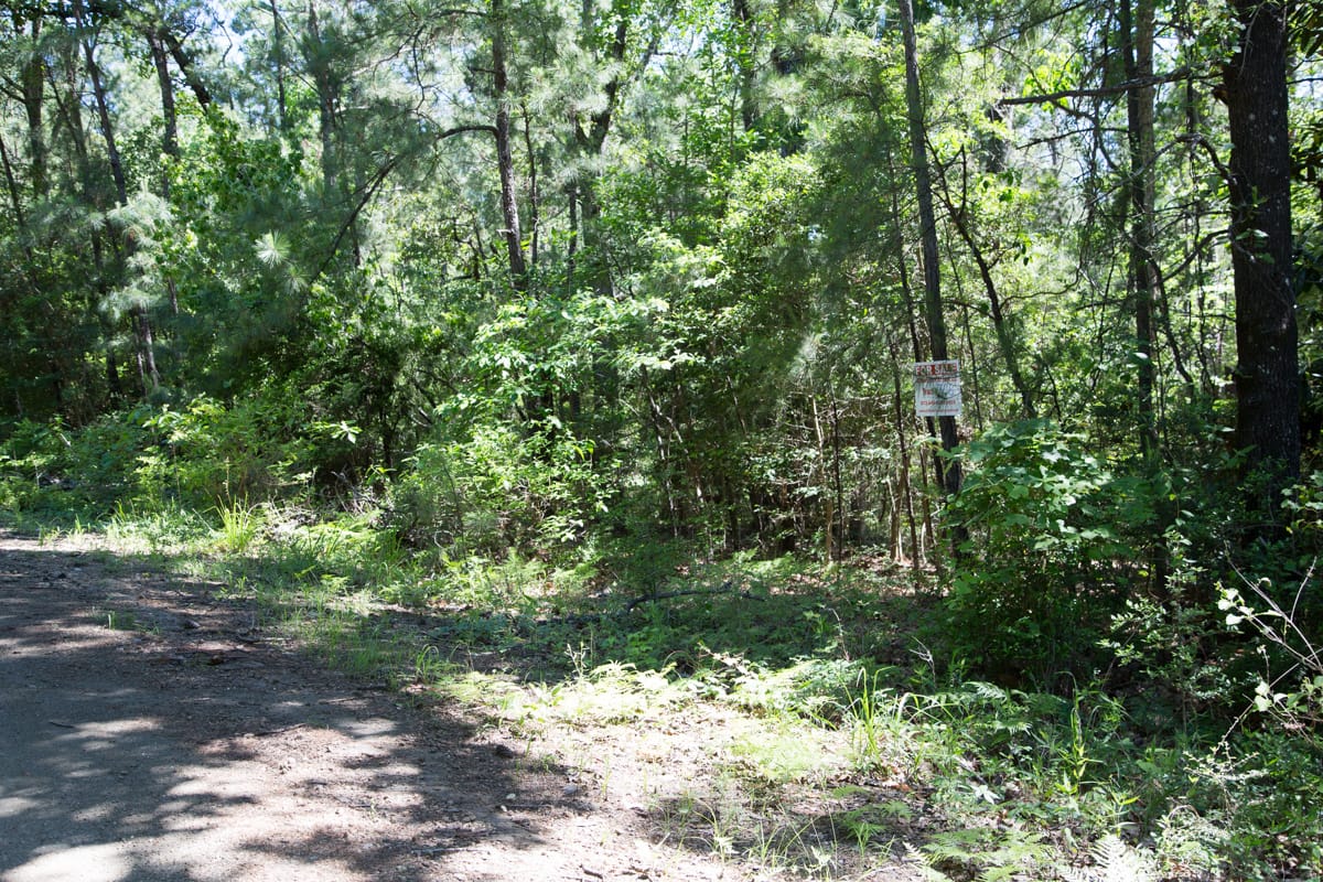 Rayburn Country Tract 306 photo 12
