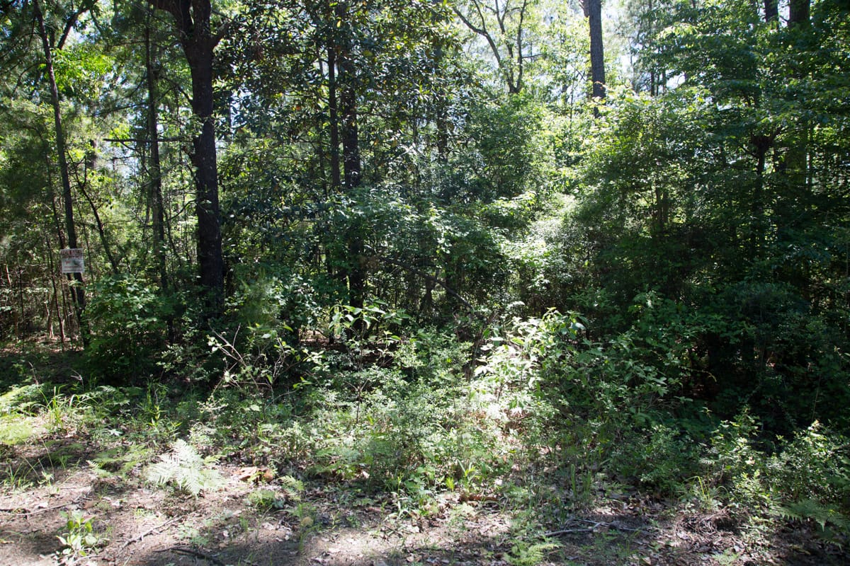 Rayburn Country Tract 306 photo 13