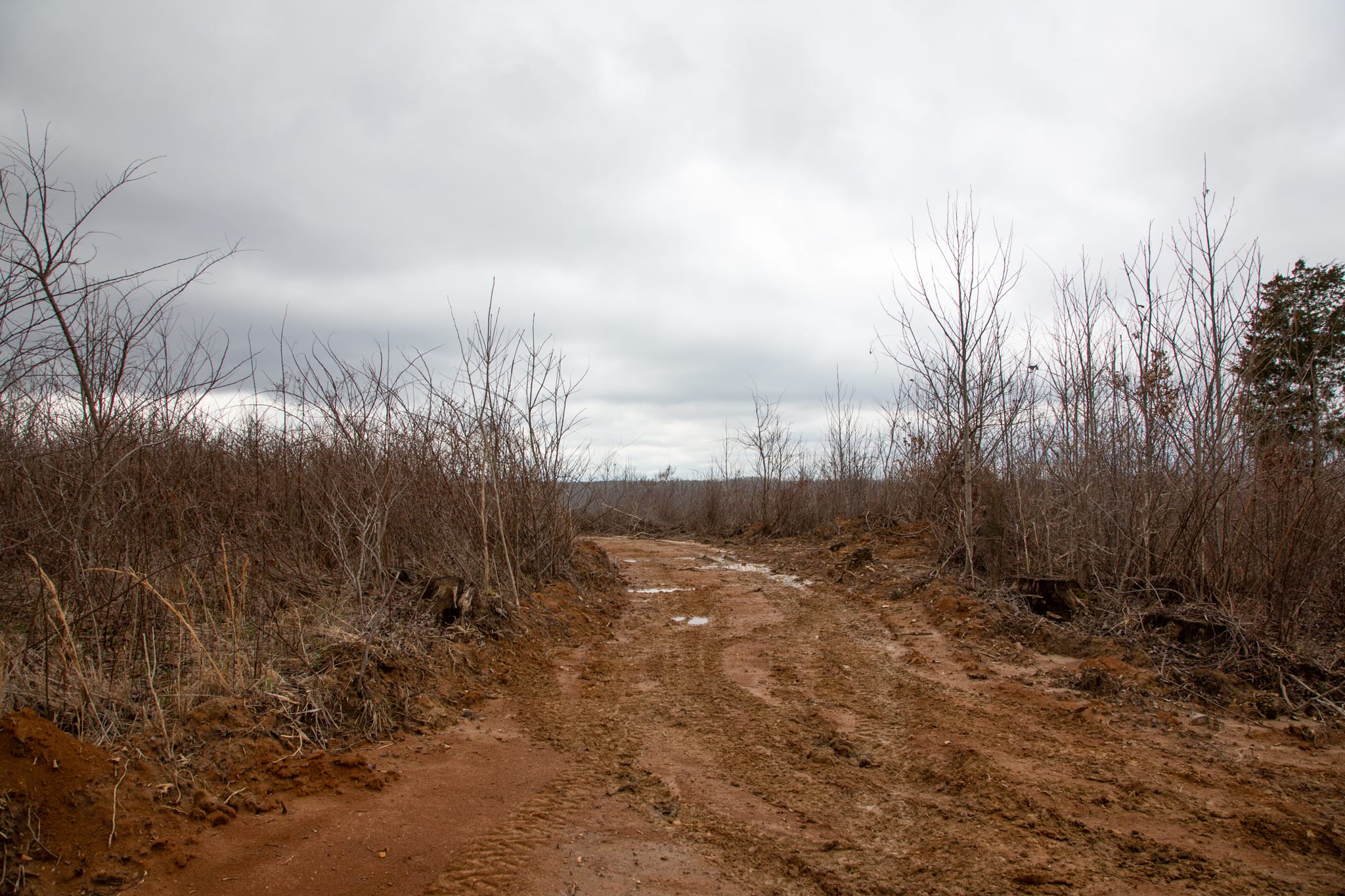 Southwind Ranch Tract 25 photo 1