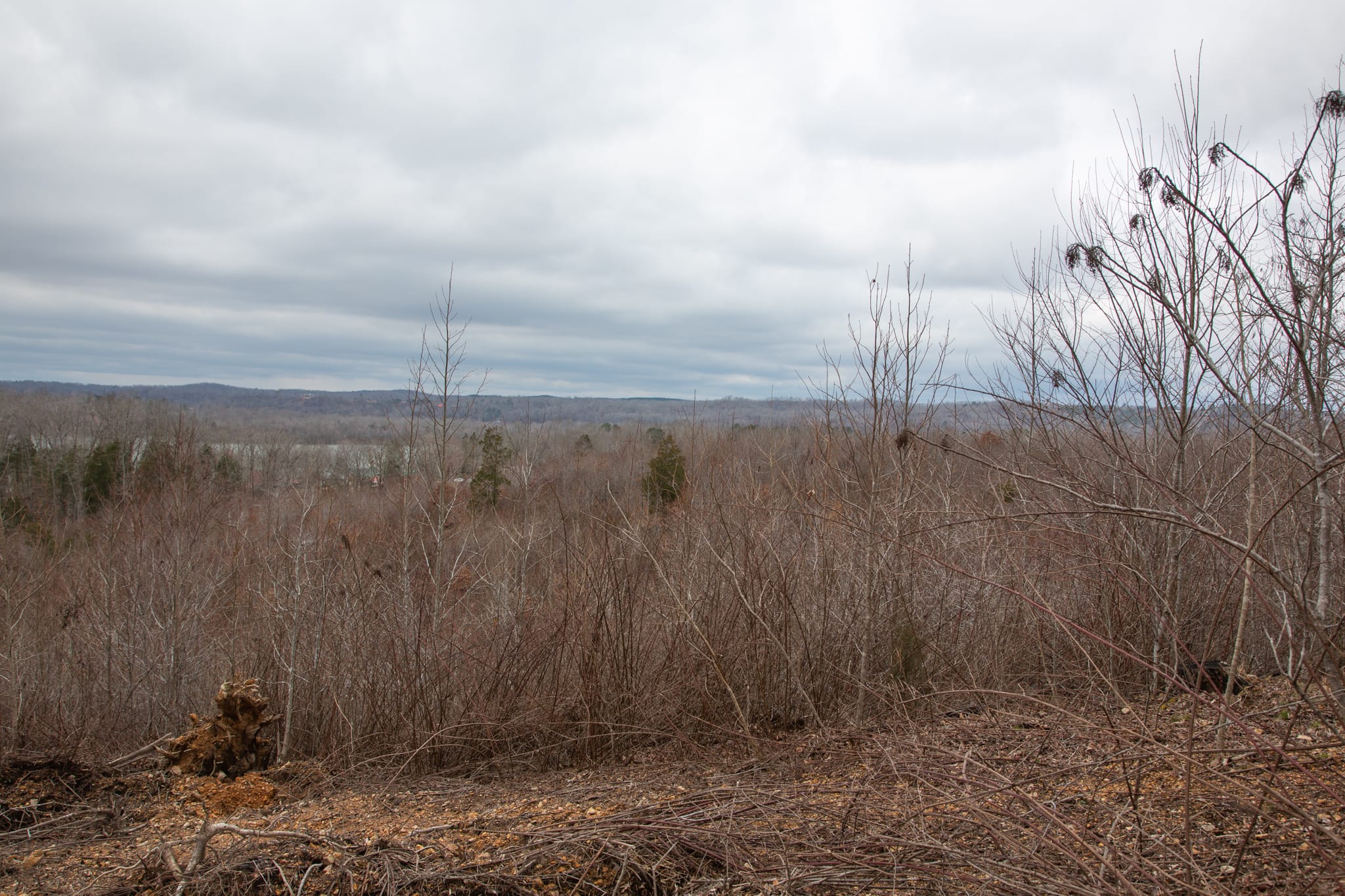 Southwind Ranch Tract 25 photo 8