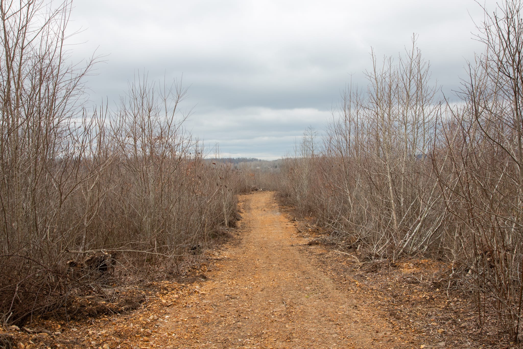 Southwind Ranch Tract 25 photo 10