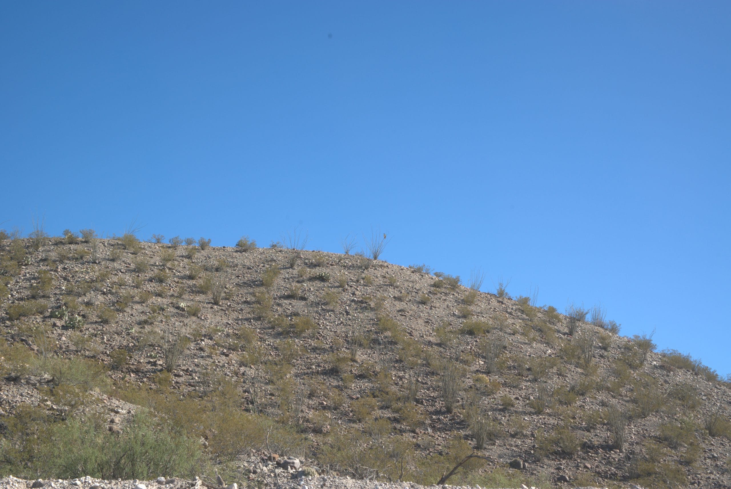 Vista Linda Canyon Tract 3 photo 10