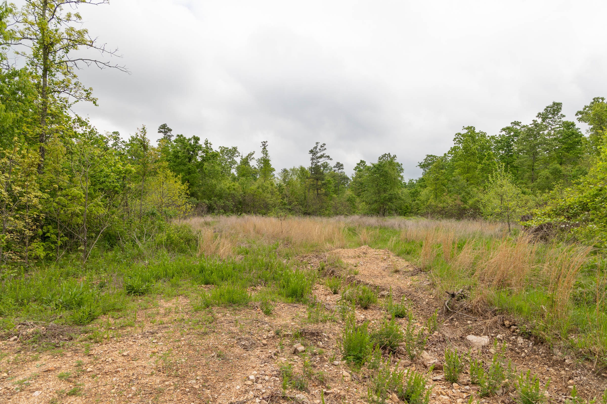 Sleepy Hollow Phase II Tract 87 photo 15
