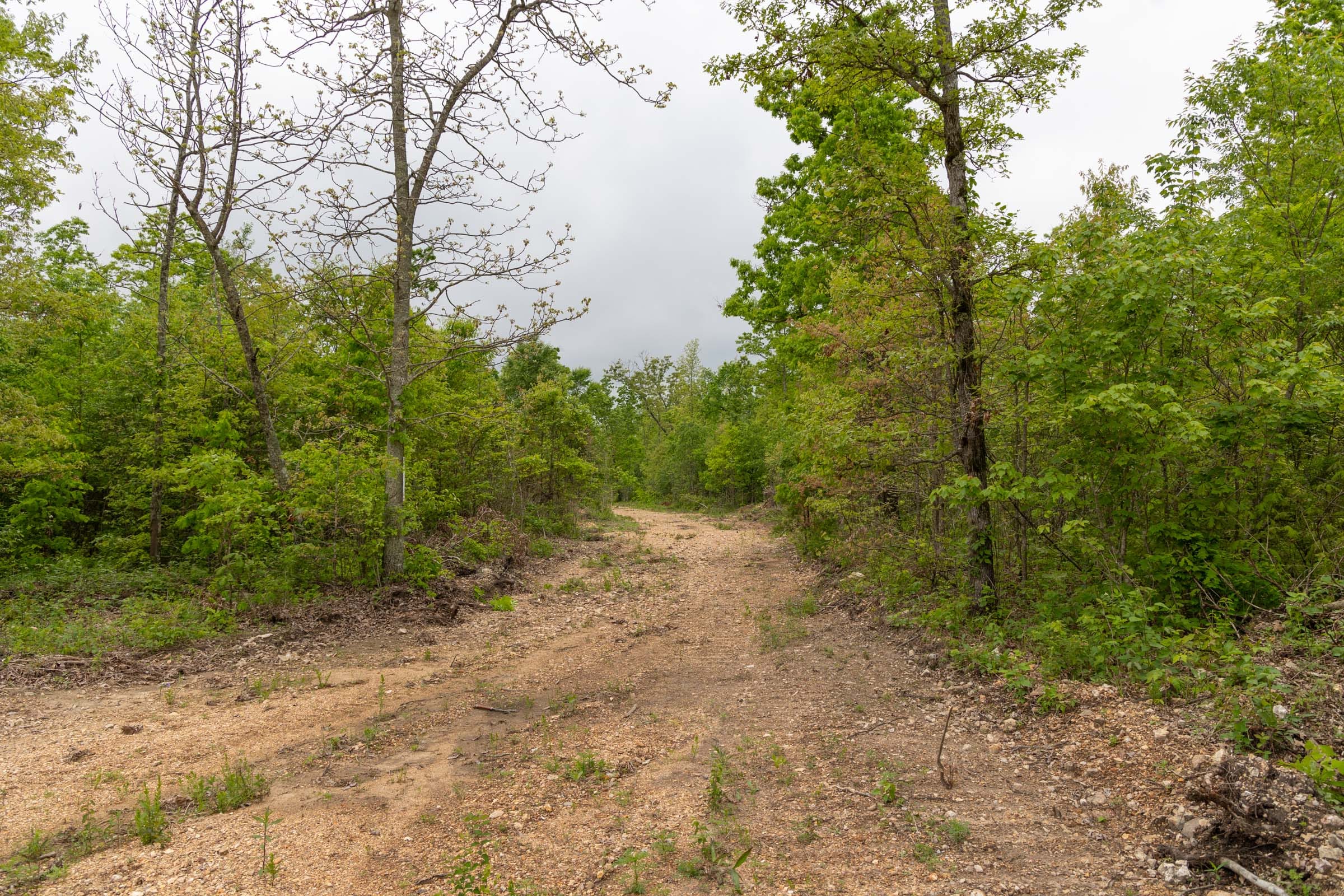 Sleepy Hollow Phase II Tract 87 photo 2
