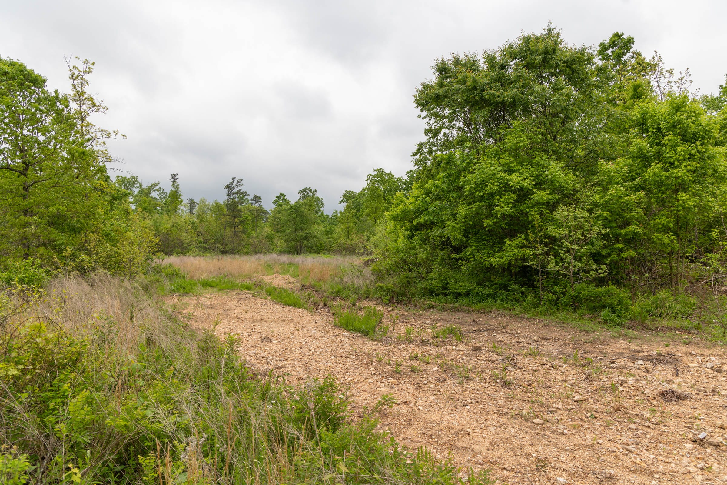 Sleepy Hollow Phase II Tract 87 photo 13
