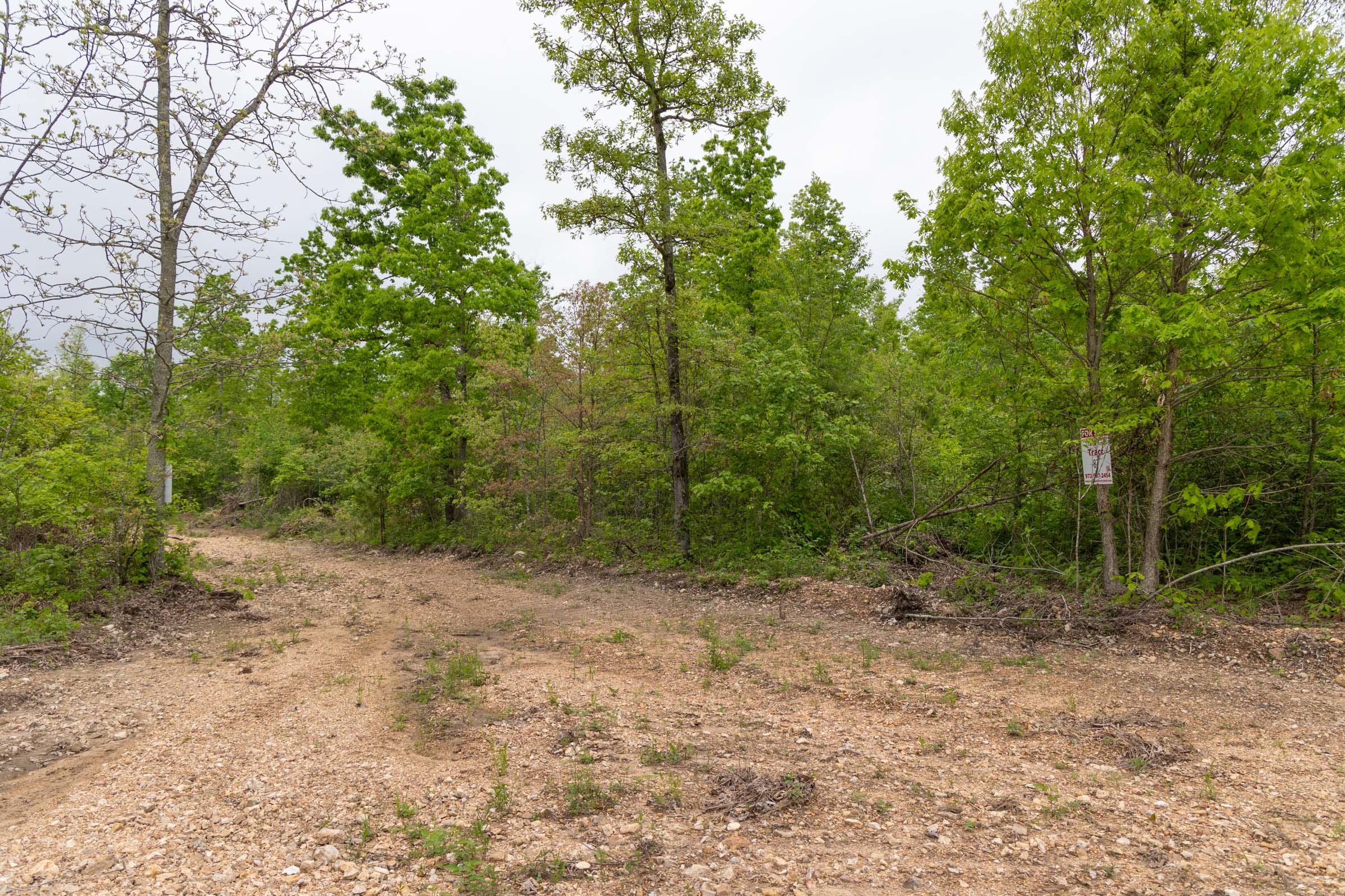 Sleepy Hollow Phase II Tract 87 photo 12