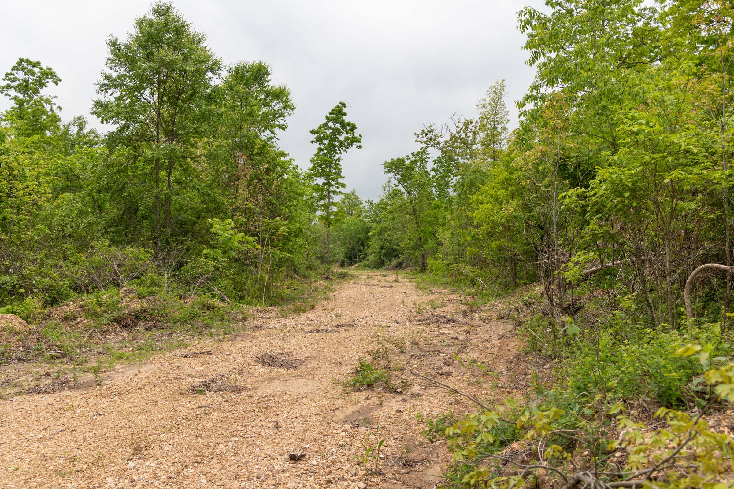 Sleepy Hollow Phase II Tract 87 photo 11