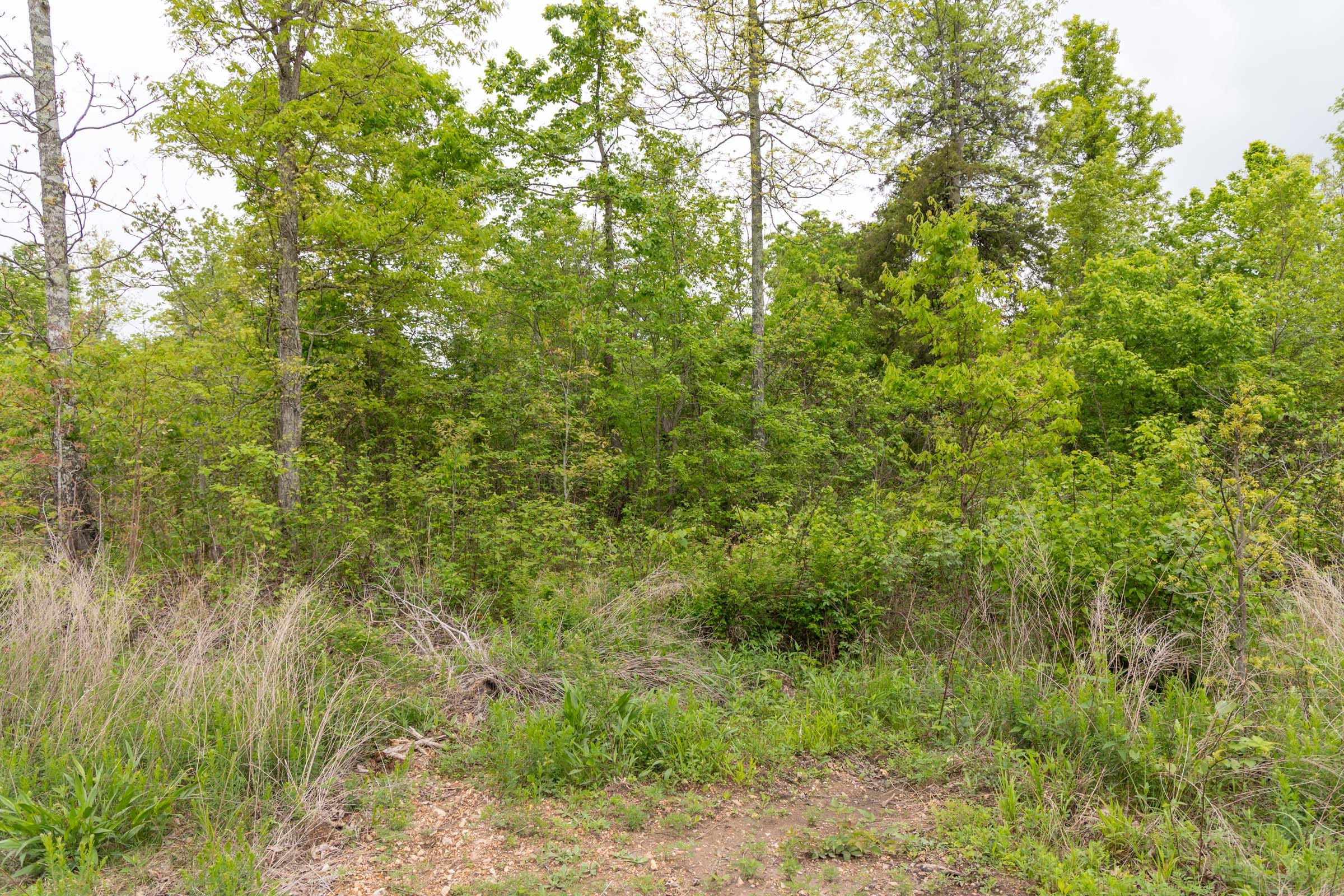 Sleepy Hollow Phase II Tract 87 photo 10