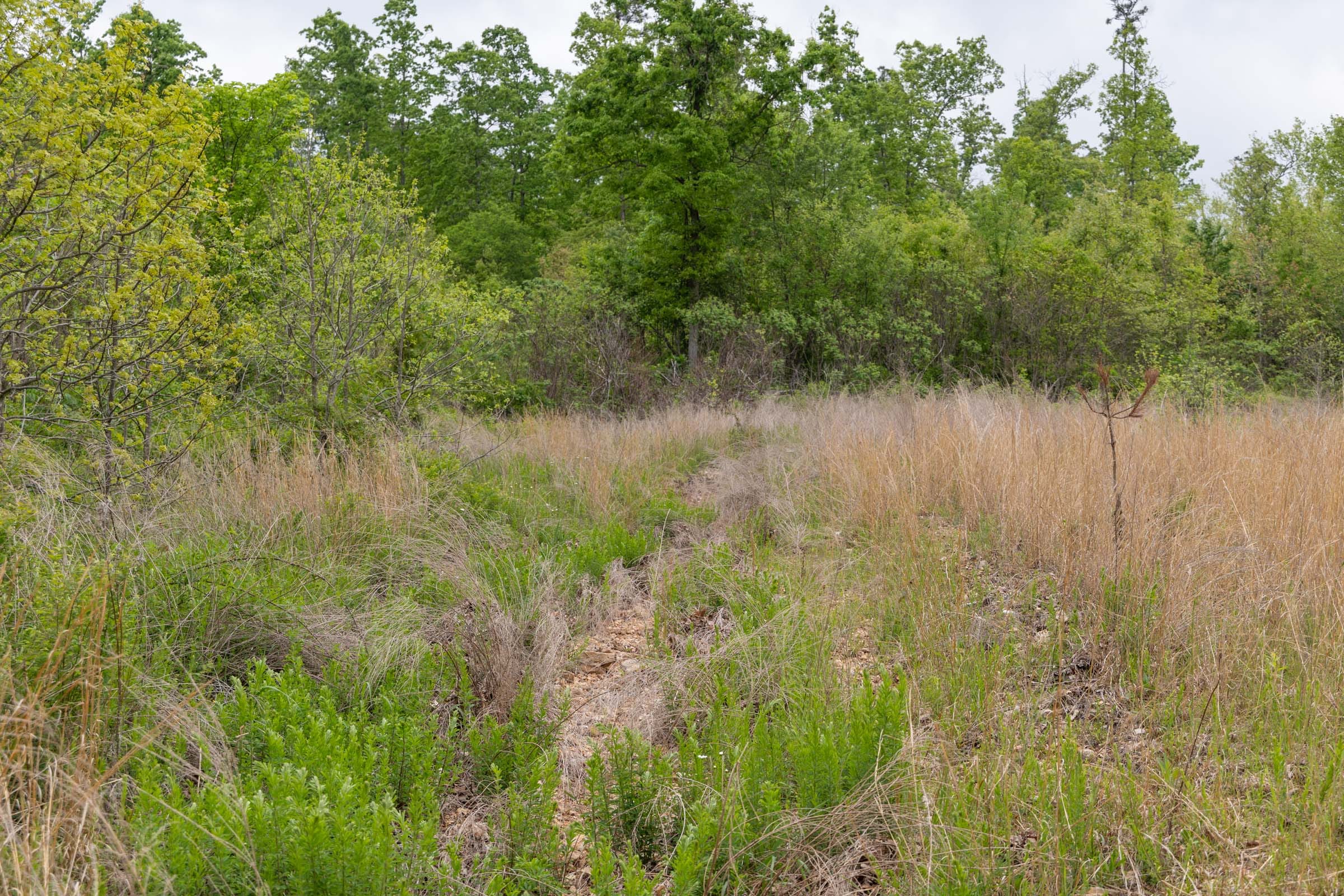 Sleepy Hollow Phase II Tract 87 photo 9