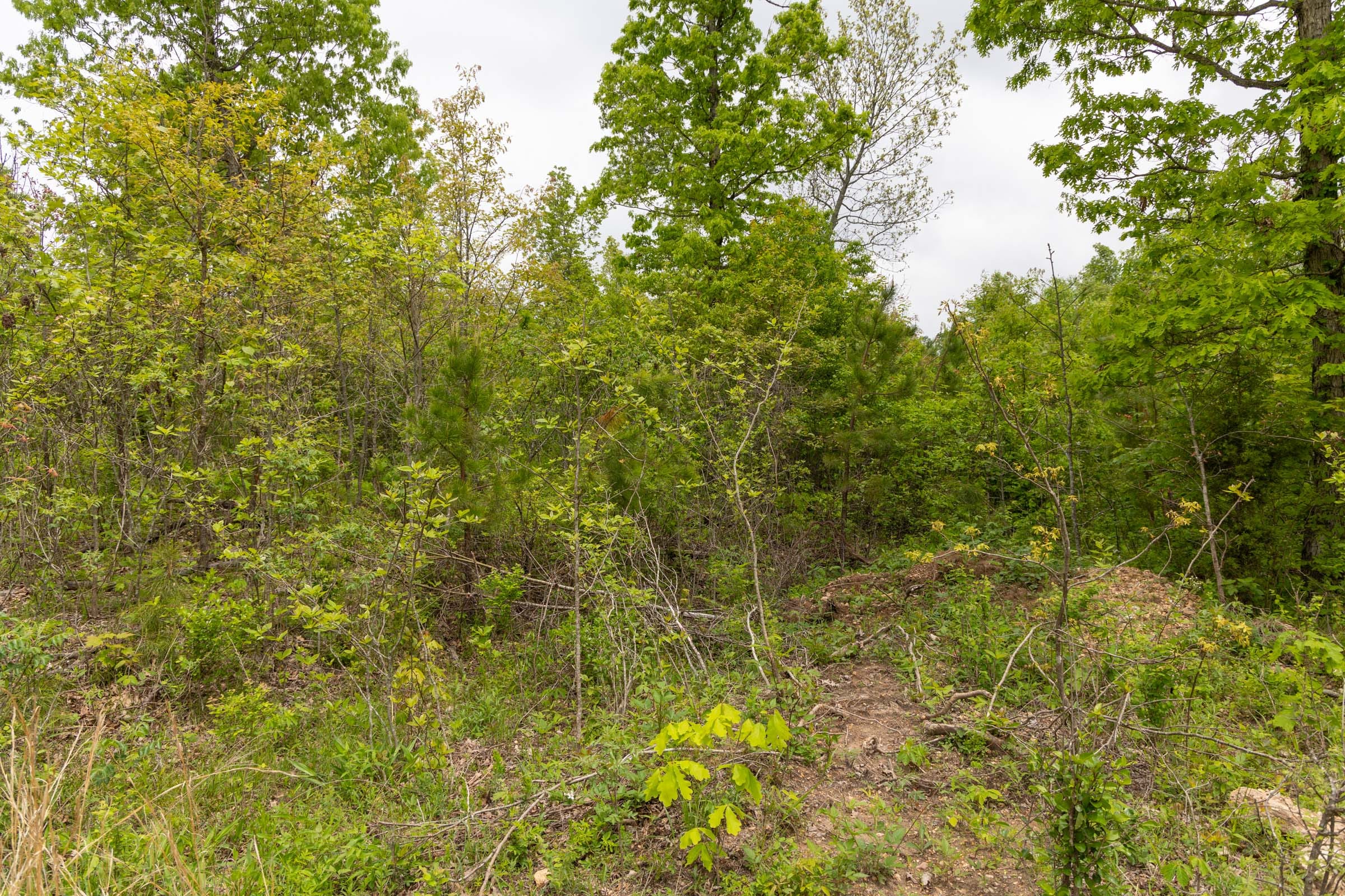 Sleepy Hollow Phase II Tract 87 photo 8