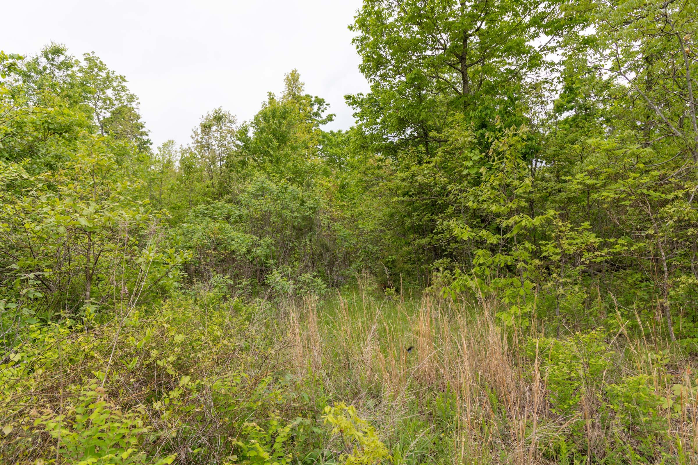 Sleepy Hollow Phase II Tract 87 photo 7
