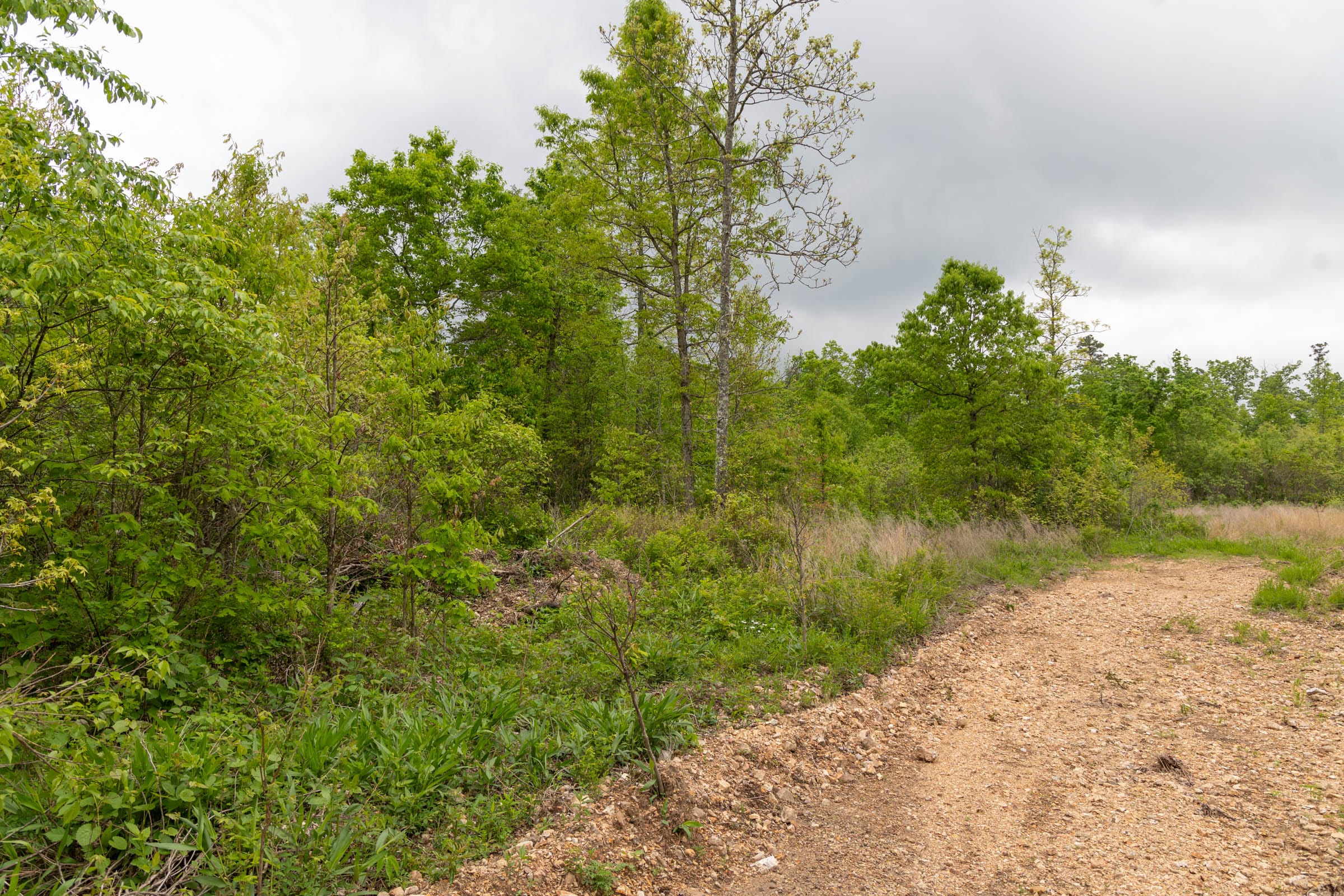 Sleepy Hollow Phase II Tract 87 photo 6