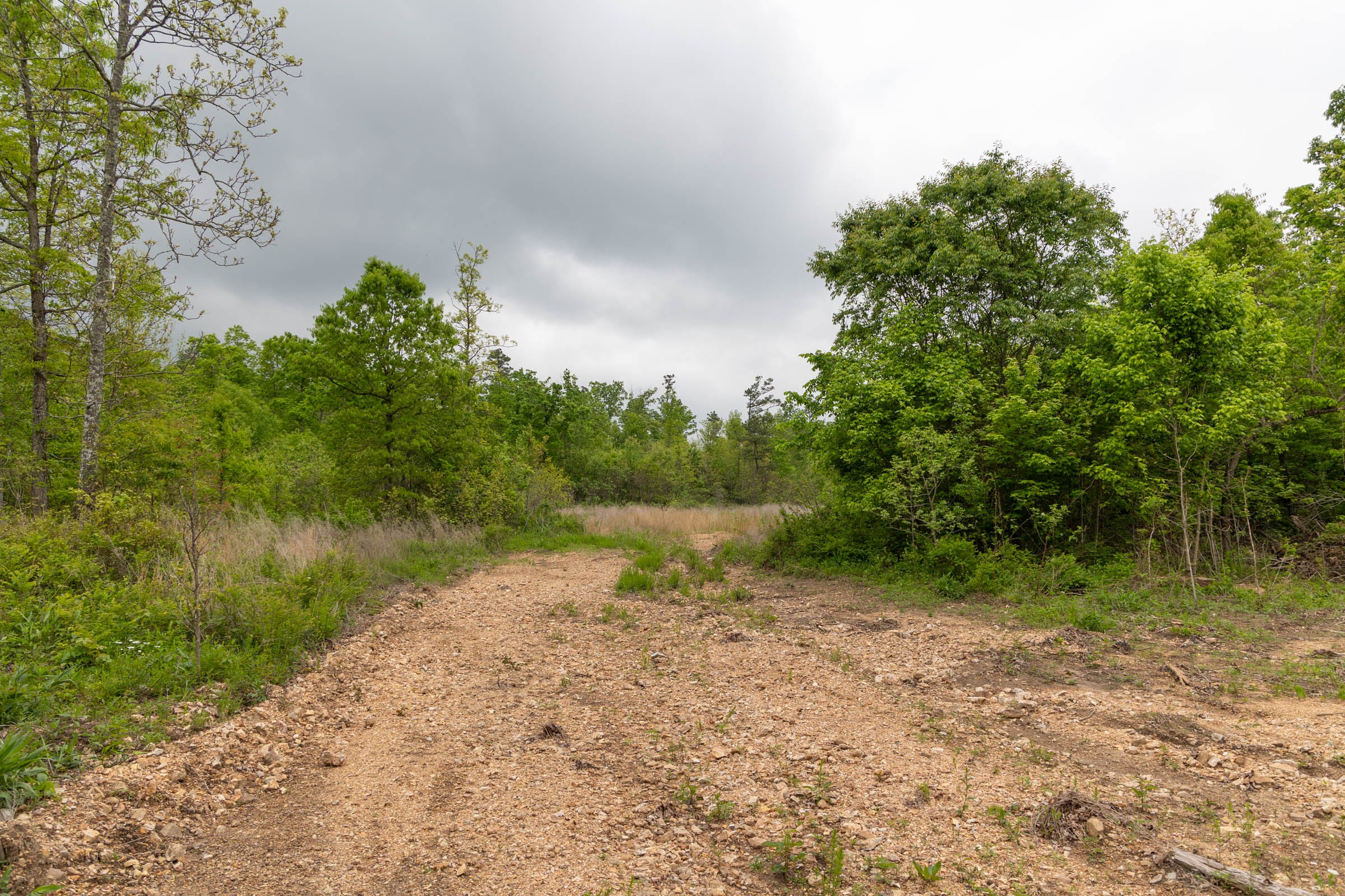 Sleepy Hollow Phase II Tract 87 photo 3