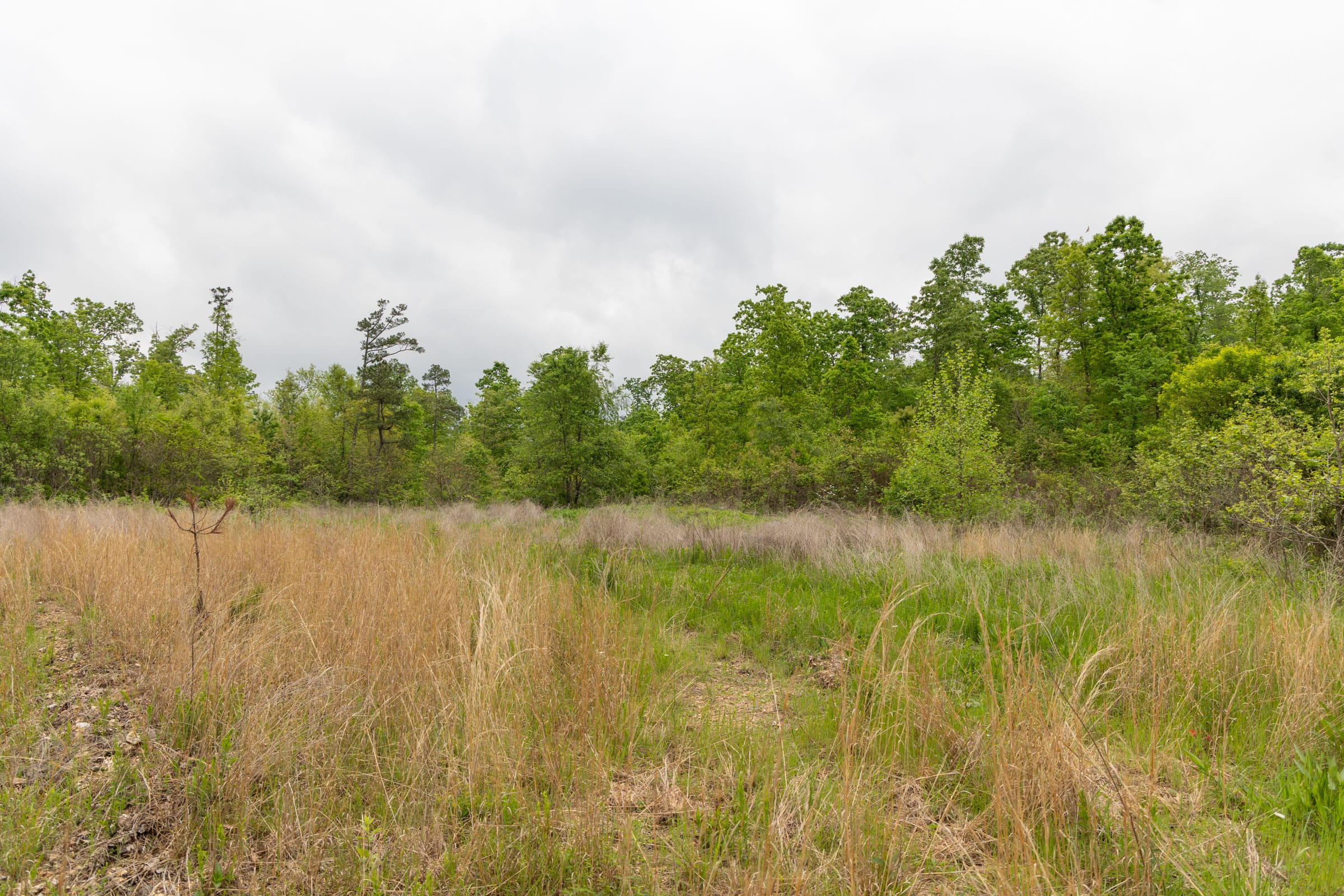 Sleepy Hollow Phase II Tract 87 photo 1