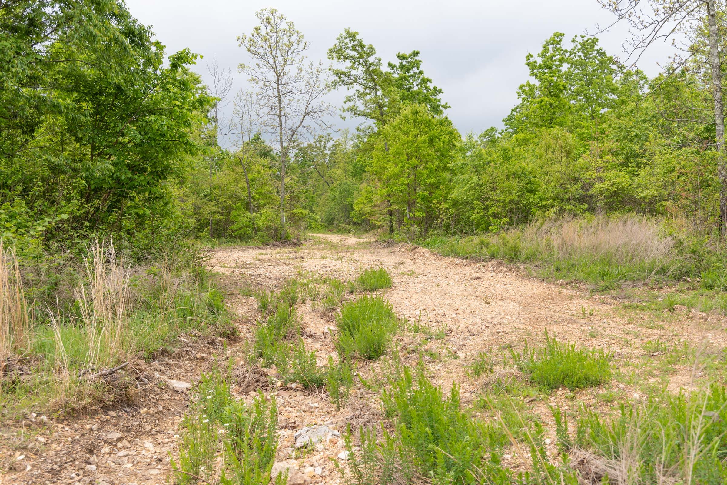 Sleepy Hollow Phase II Tract 87 photo 5