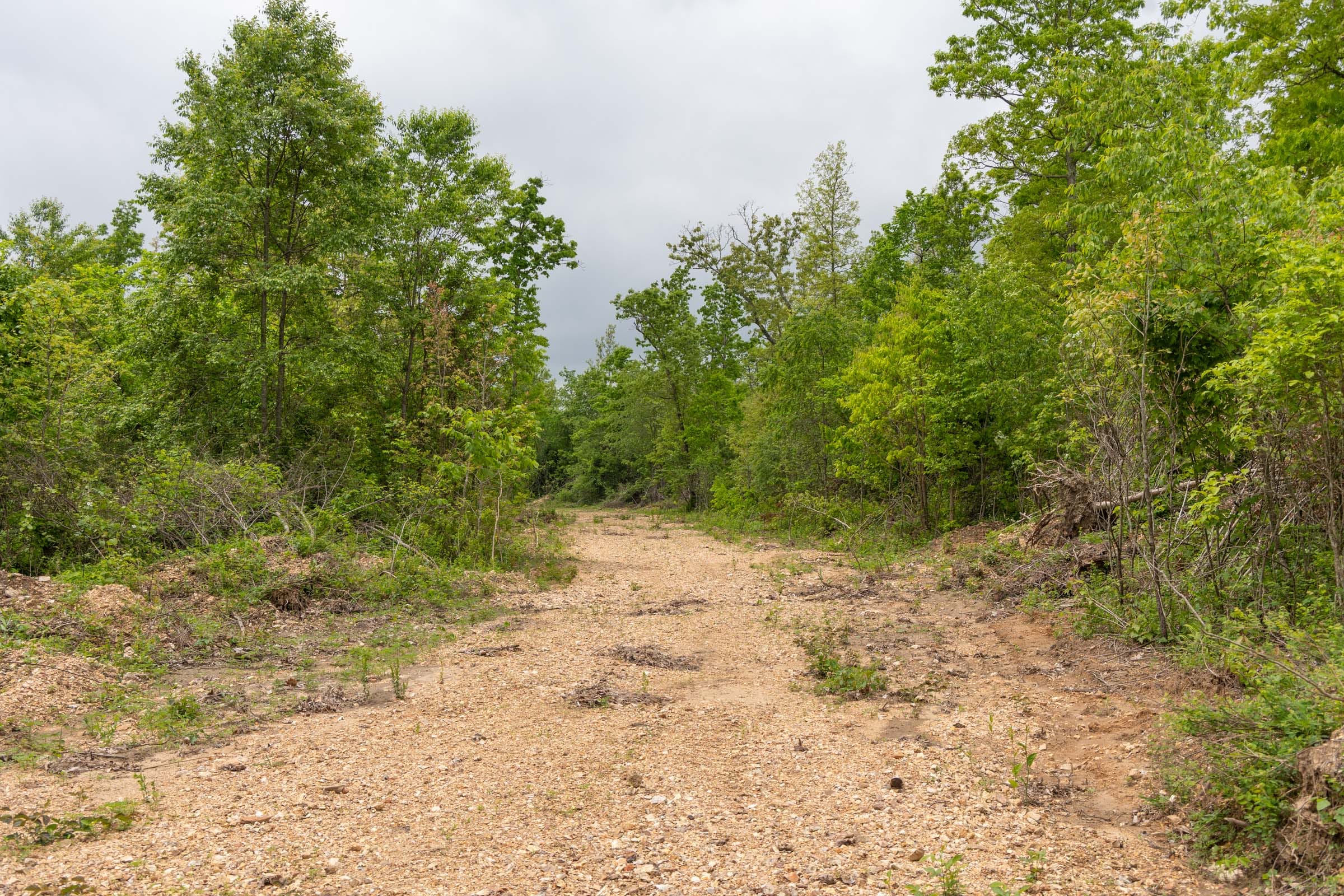 Sleepy Hollow Phase II Tract 87 photo 4