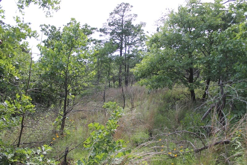 Indian Ridge – Phase II Tract 35 photo 2