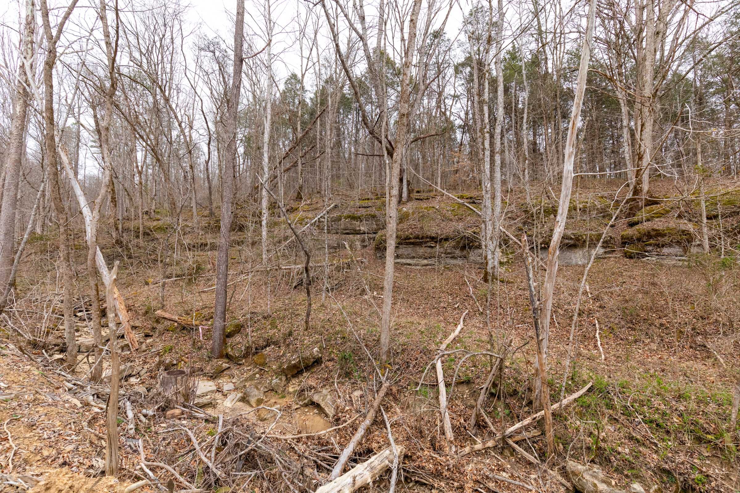 Creek Hollow Phase I Tract 28 photo 2