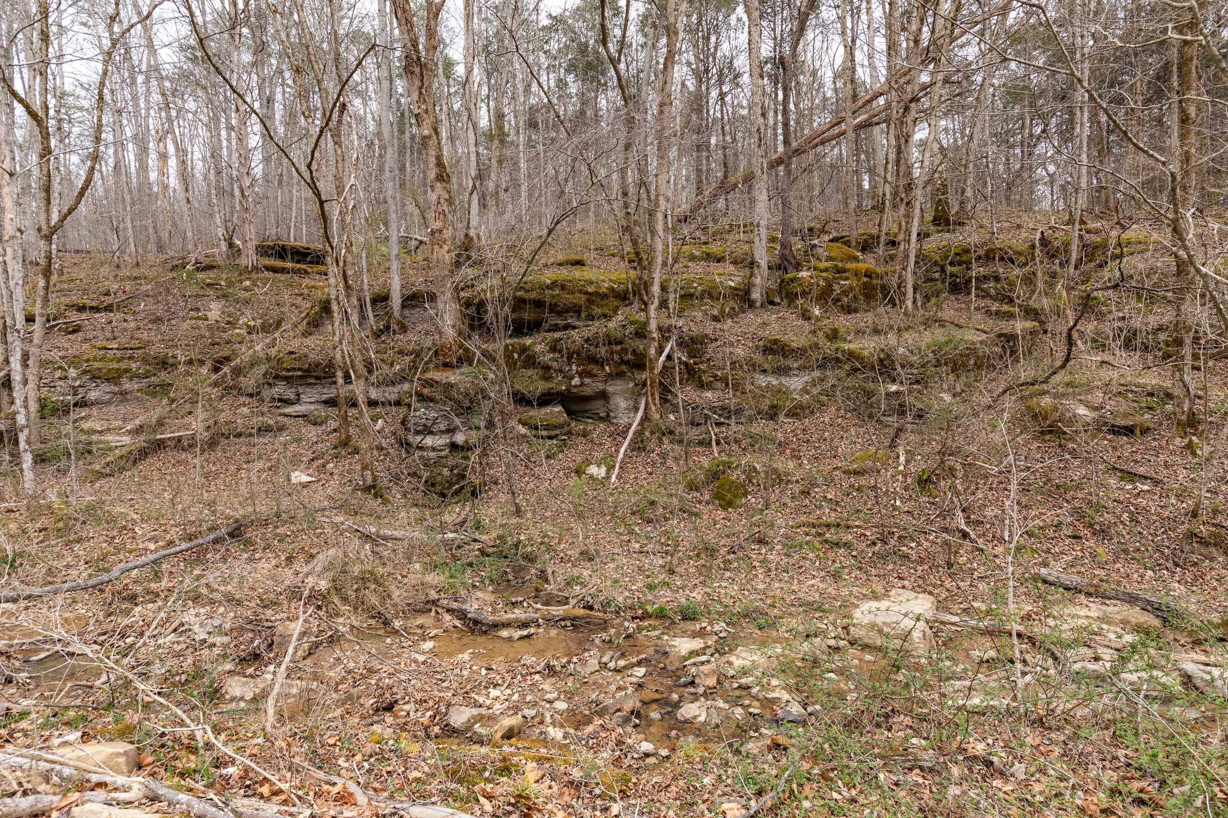 Creek Hollow Phase I Tract 28 photo 5