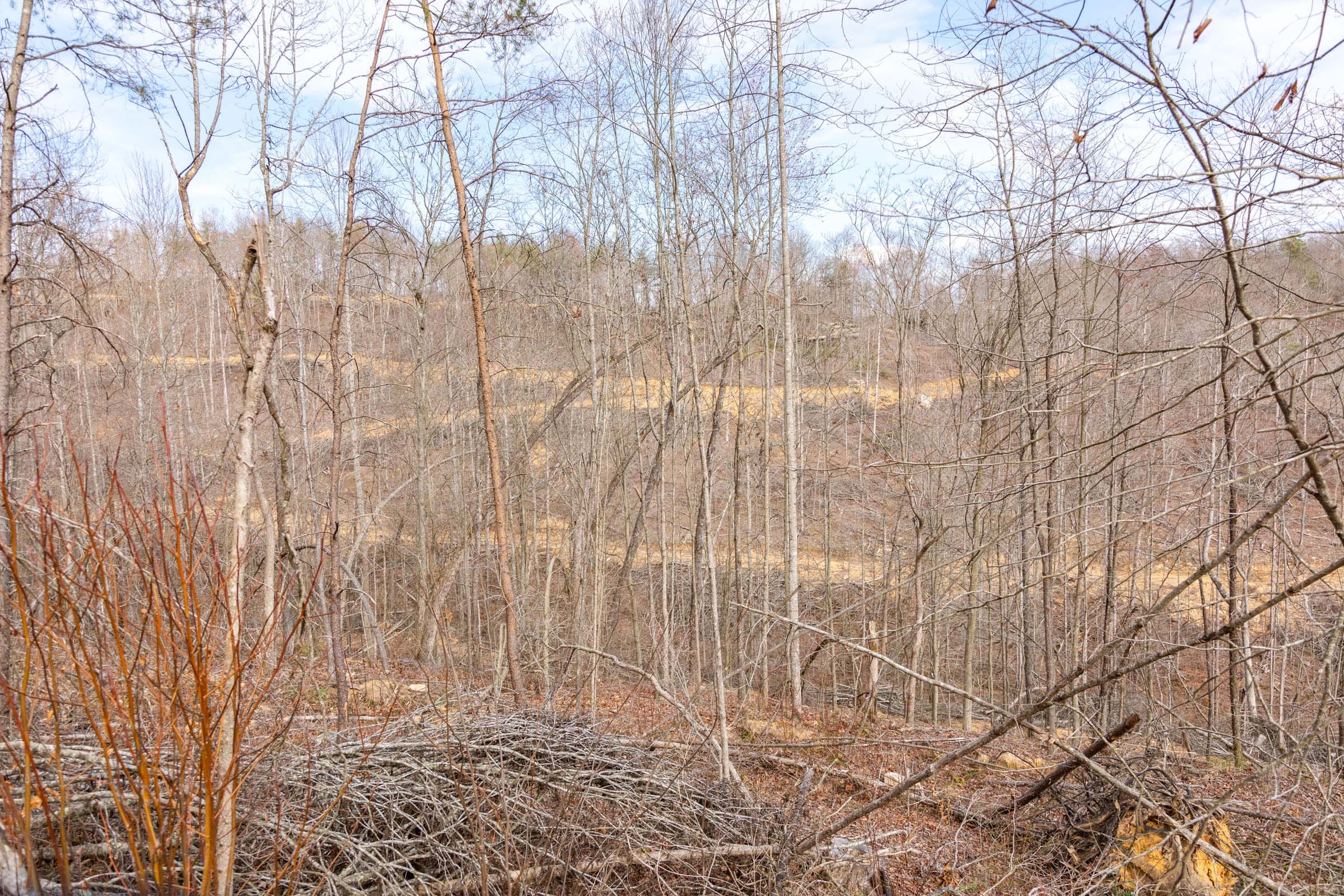 Creek Hollow Phase I Tract 28 photo 8