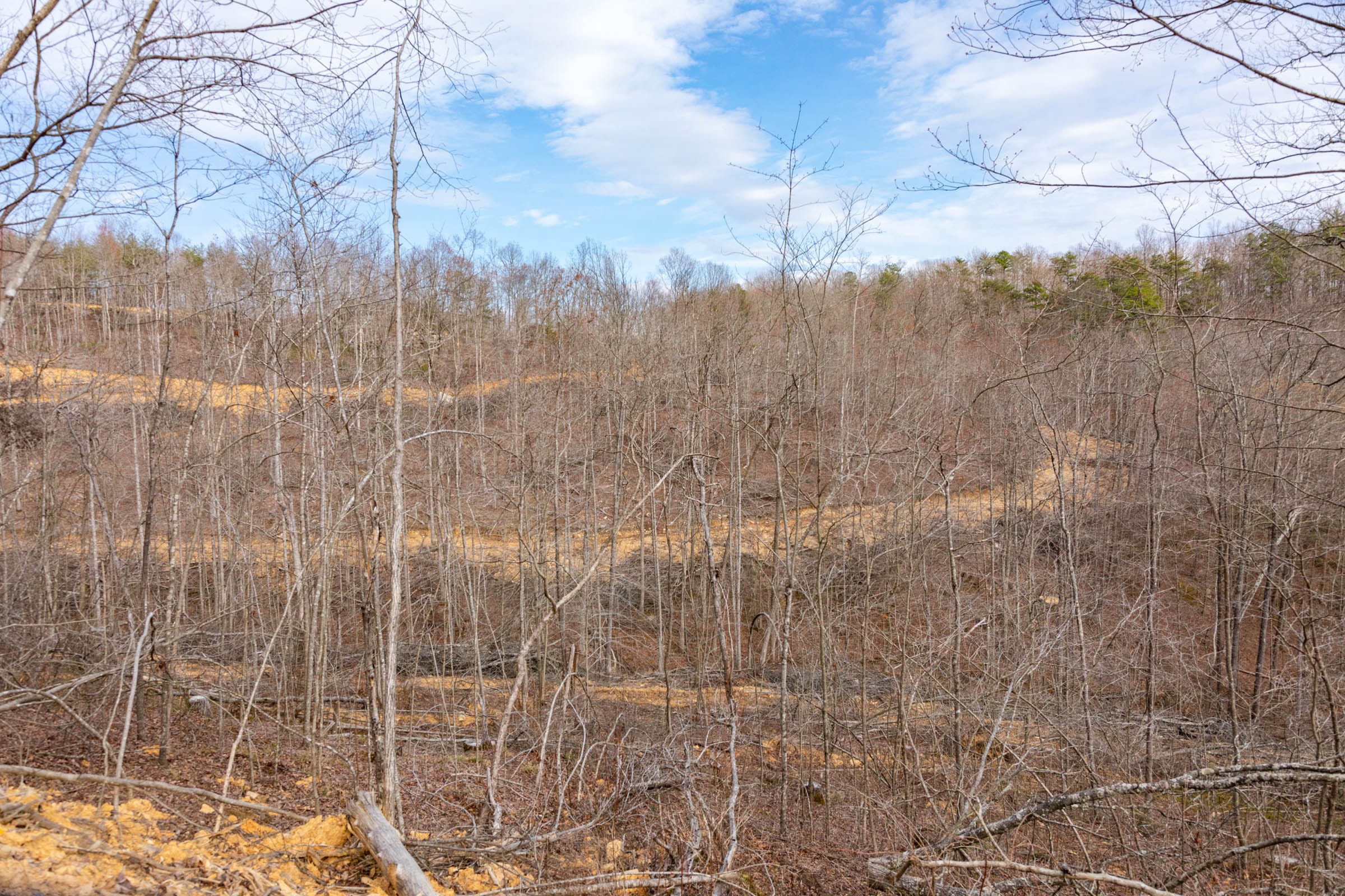Creek Hollow Phase I Tract 28 photo 9