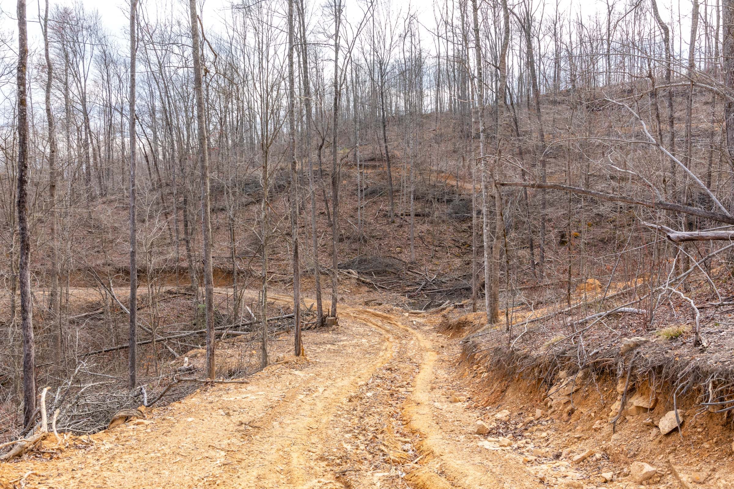 Creek Hollow Phase I Tract 28 photo 7