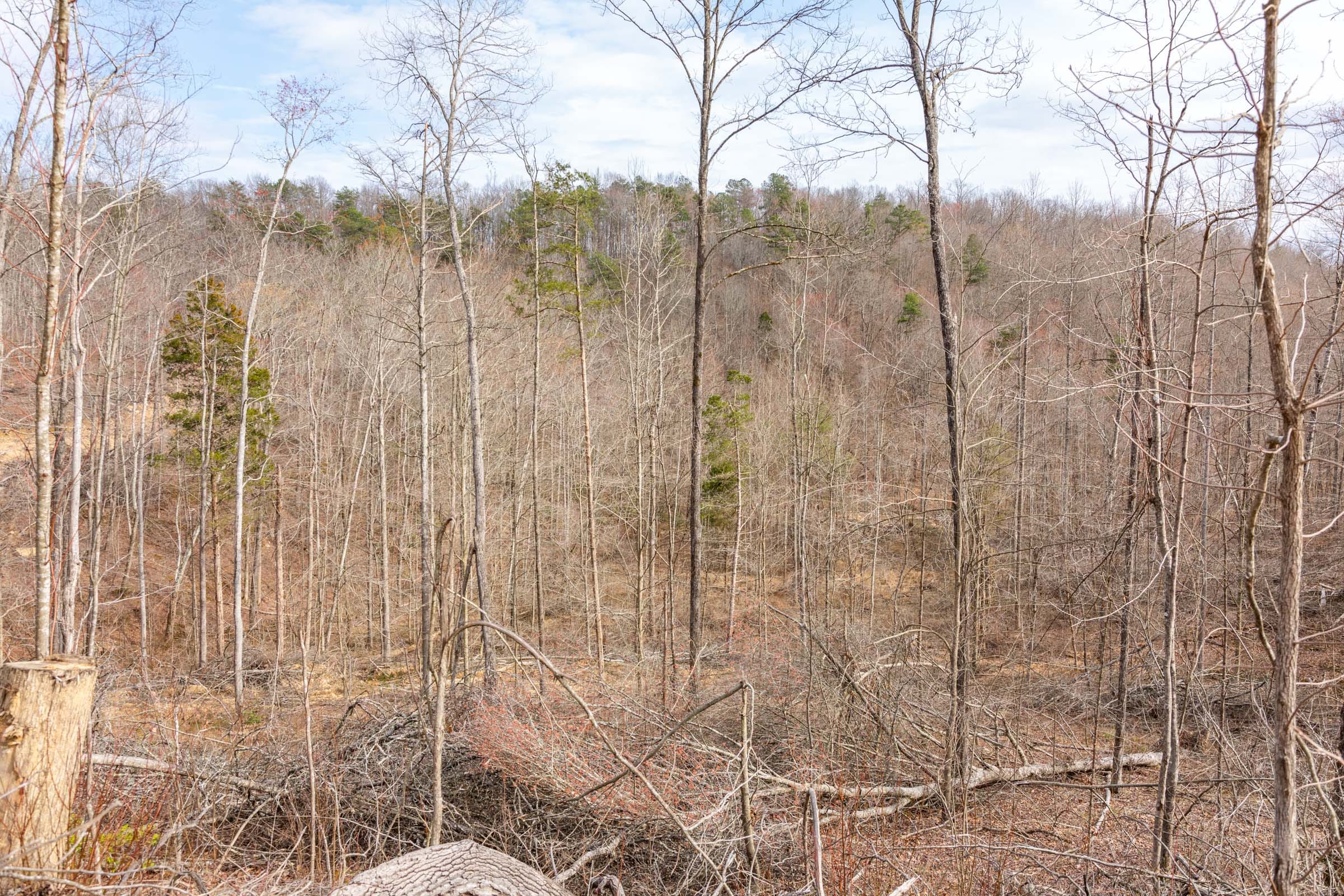 Creek Hollow Phase I Tract 28 photo 10
