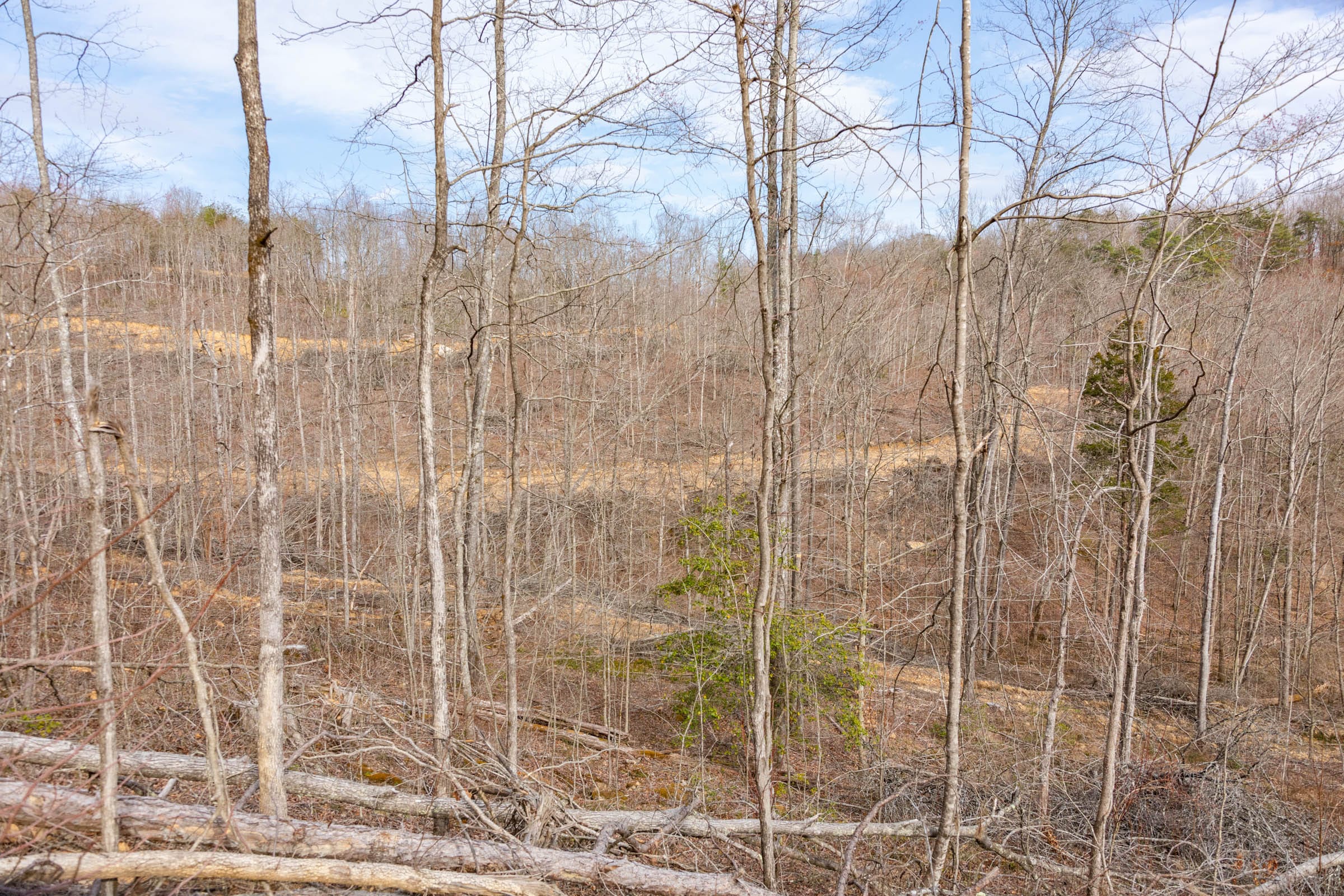 Creek Hollow Phase I Tract 28 photo 11