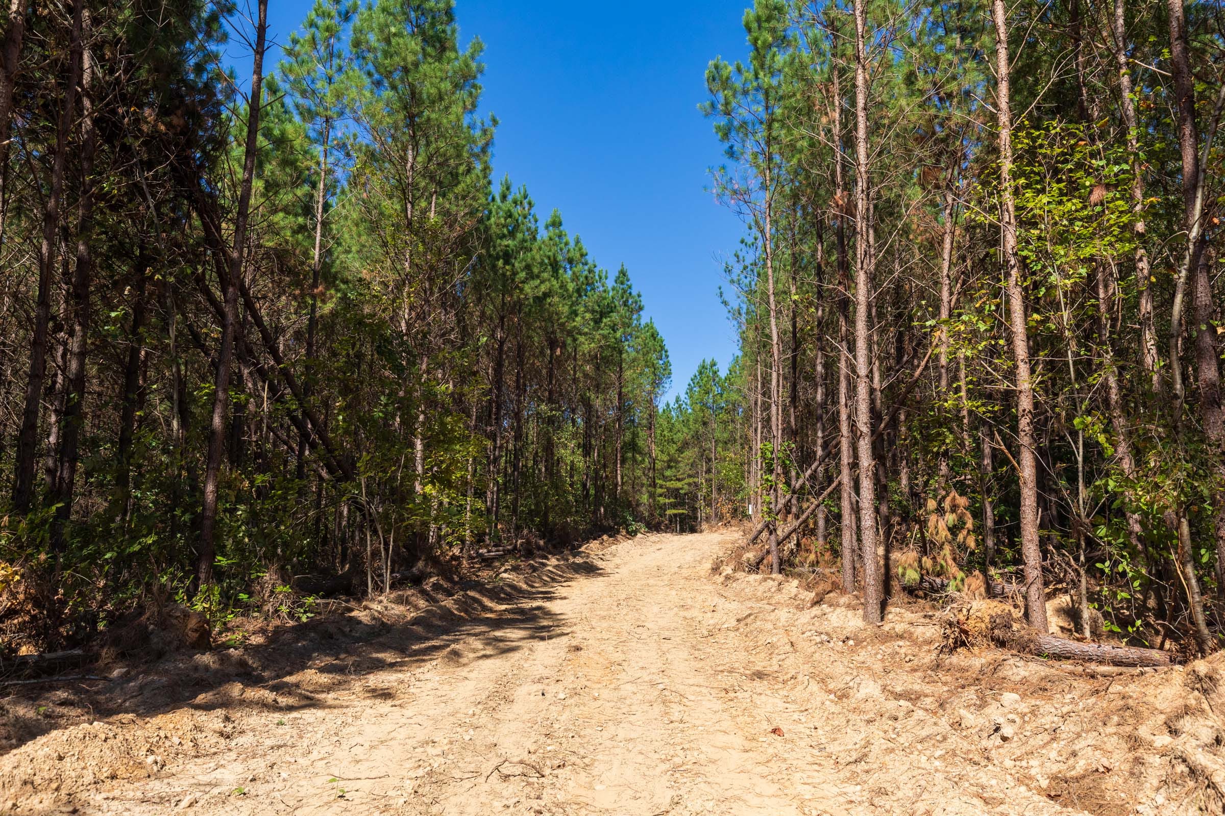Bear Brook Tract 14 photo 1