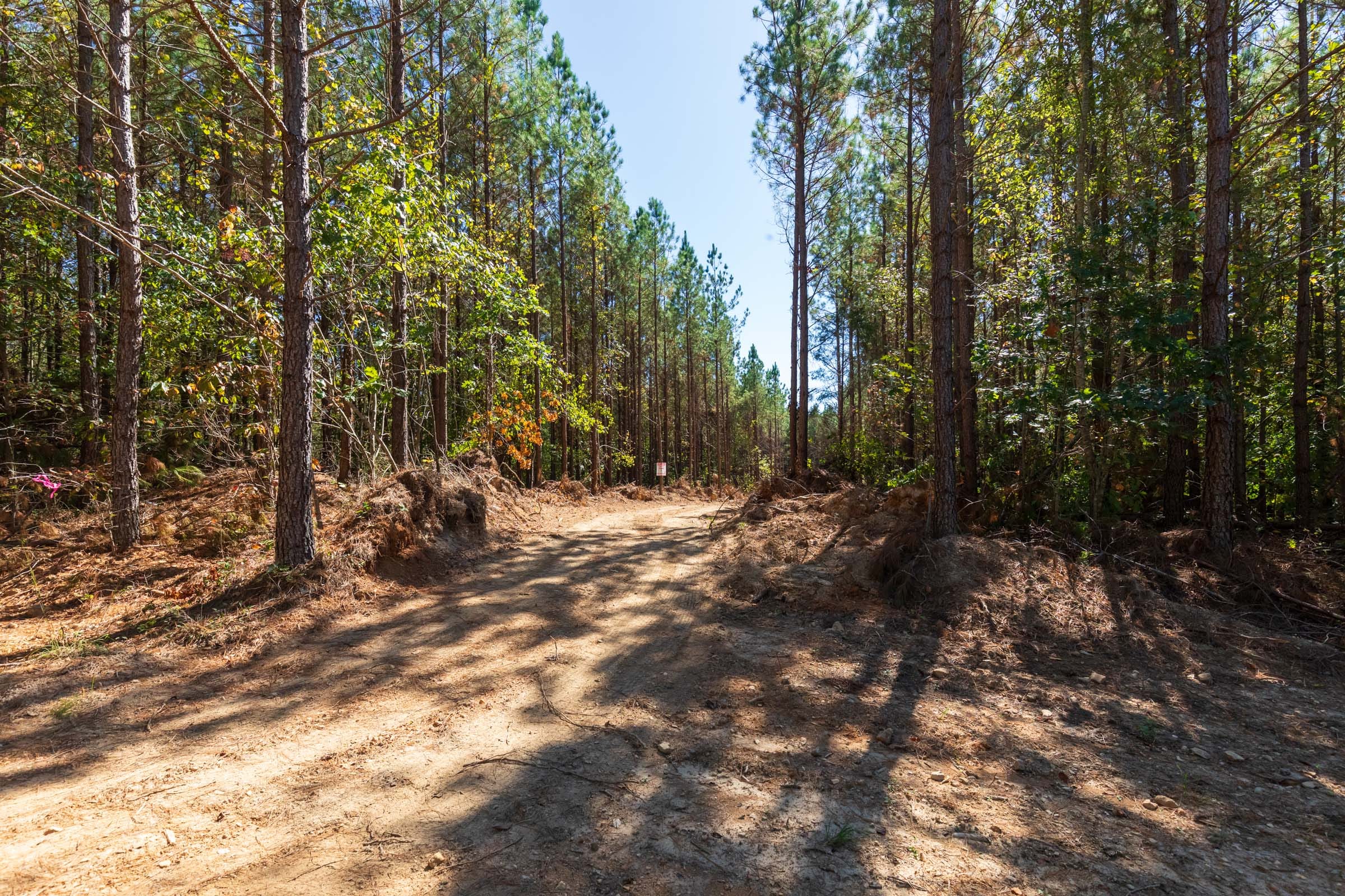 Bear Brook Tract 14 photo 7