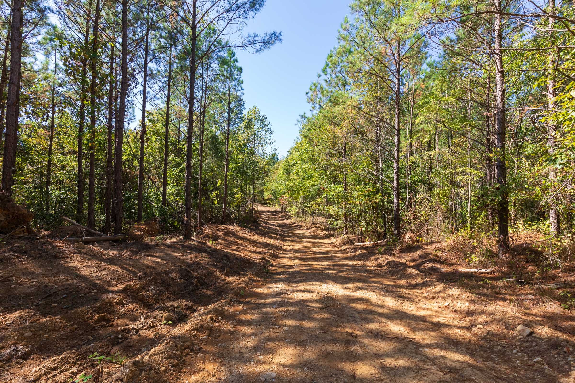 Bear Brook Tract 14 photo 3