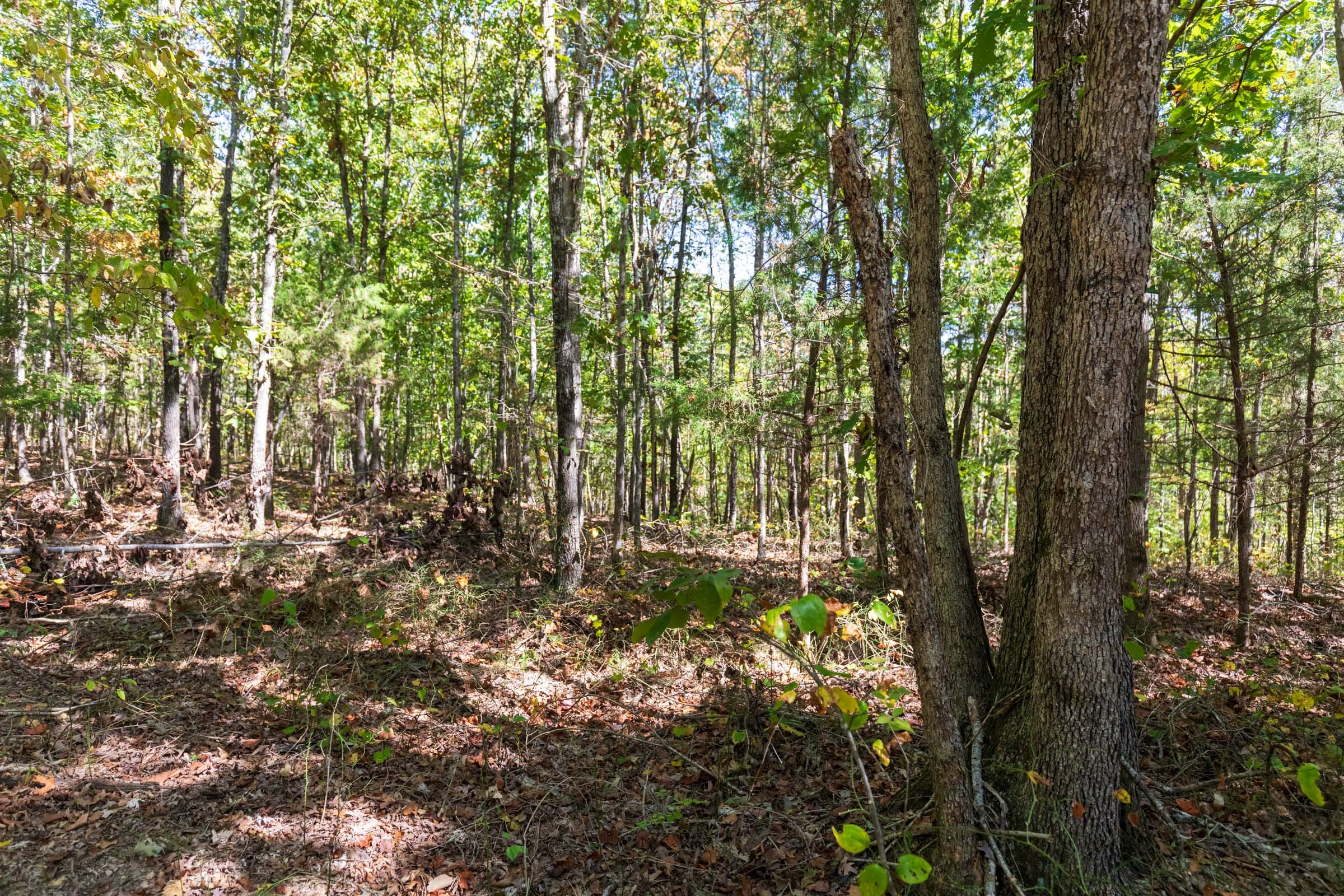 Bear Brook Tract 14 photo 9