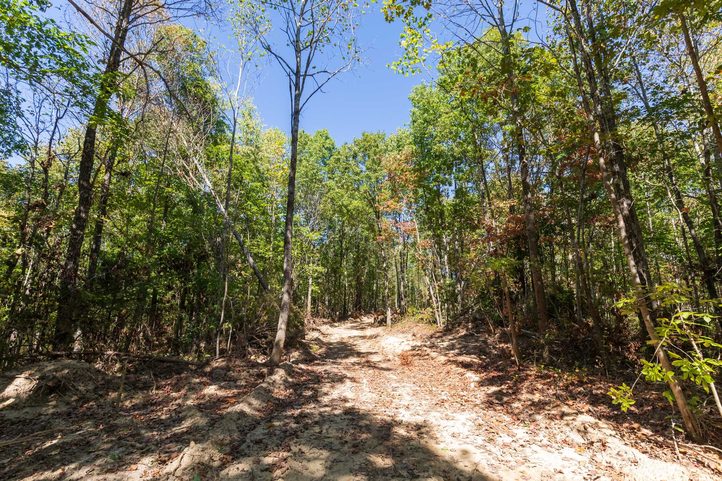 Bear Brook Tract 14 photo 10