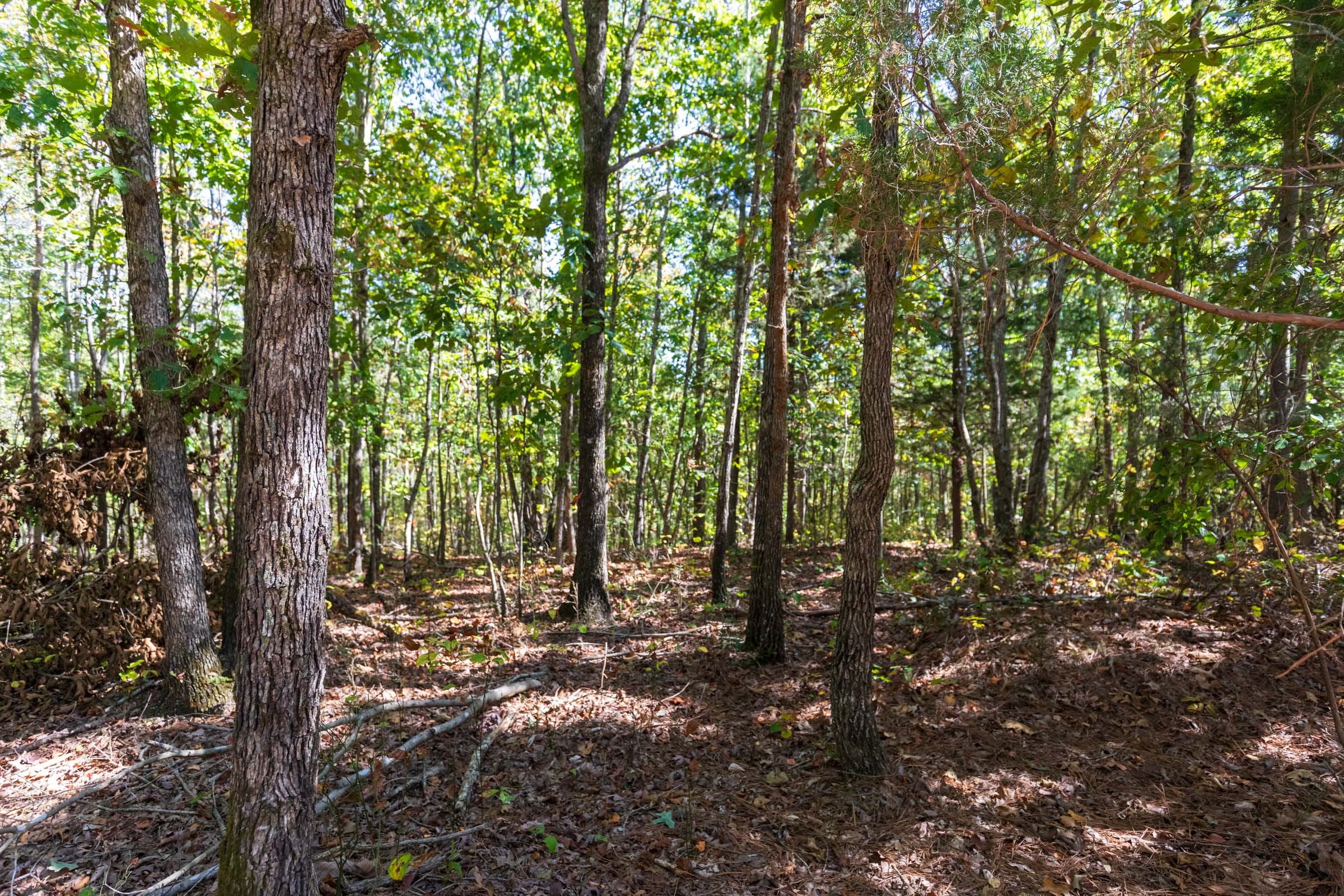 Bear Brook Tract 14 photo 11