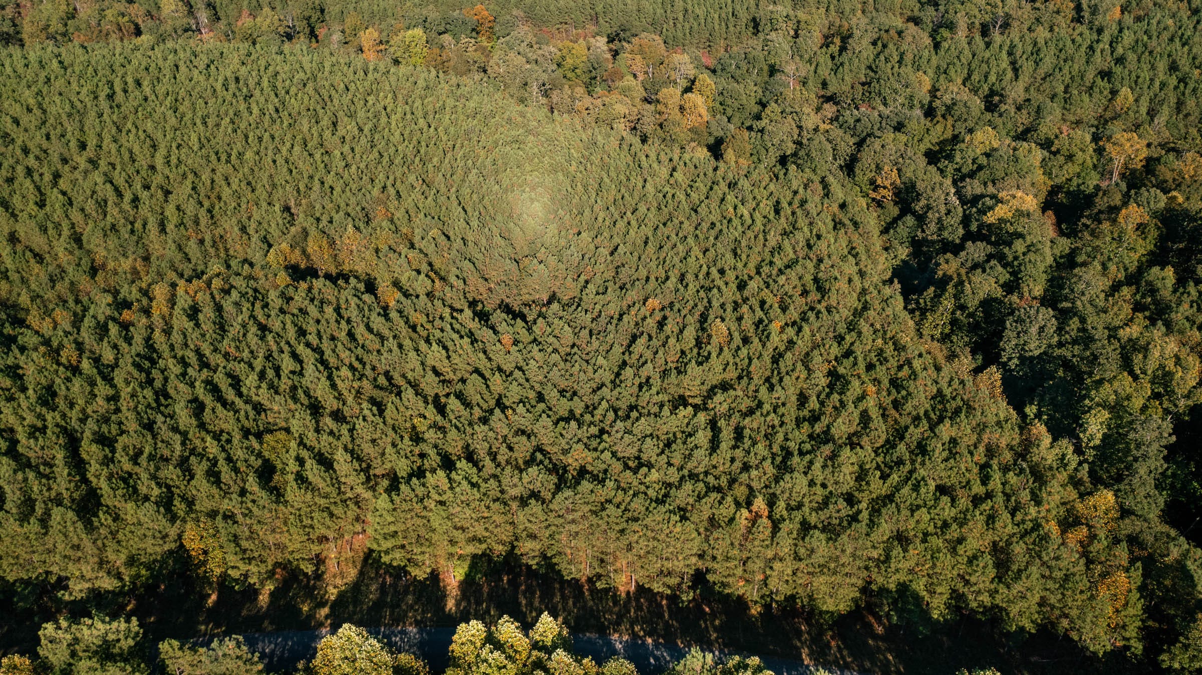 Bear Brook Tract 14 photo 4