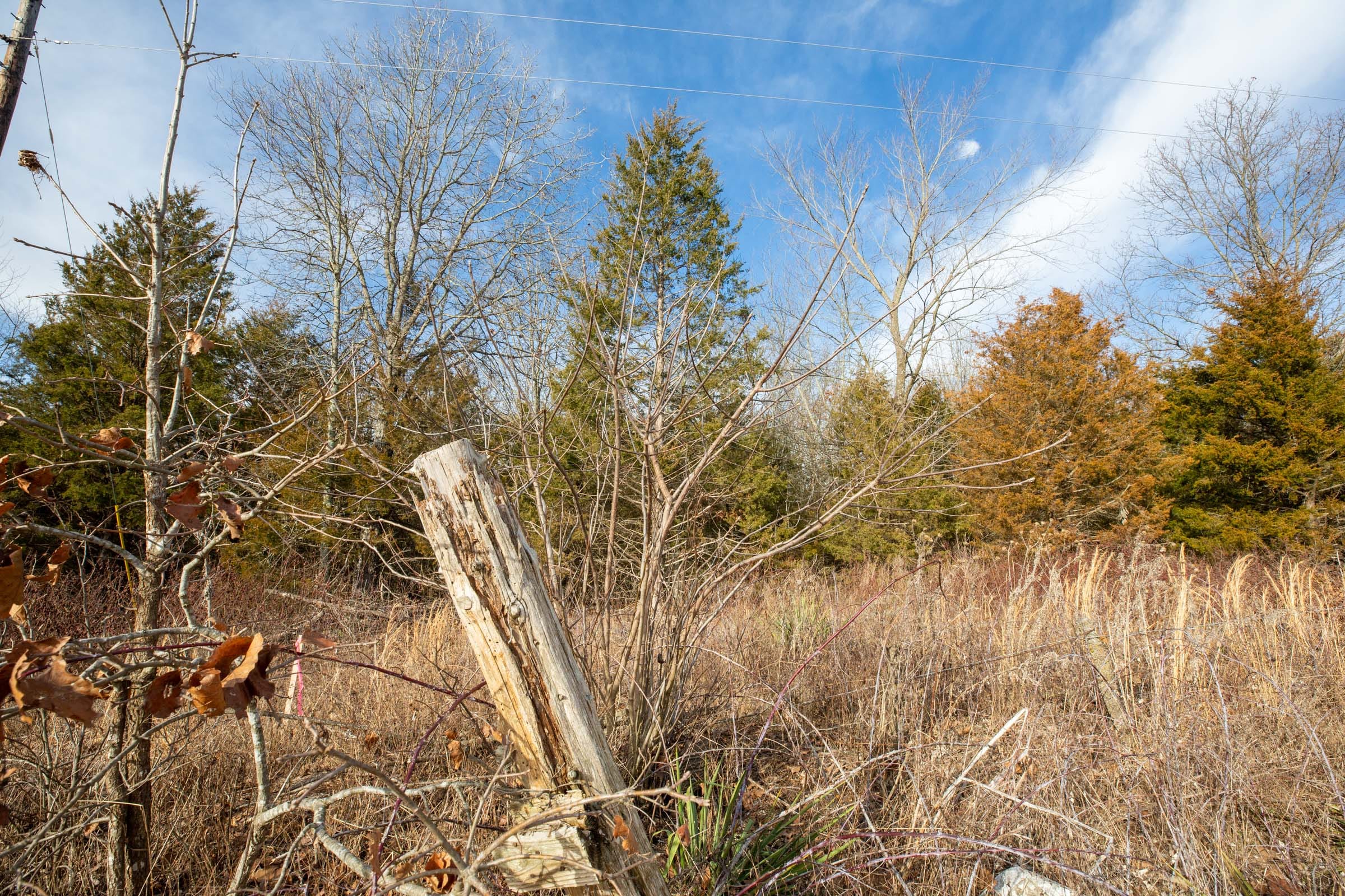 Forest Hill Tract 7 photo 4