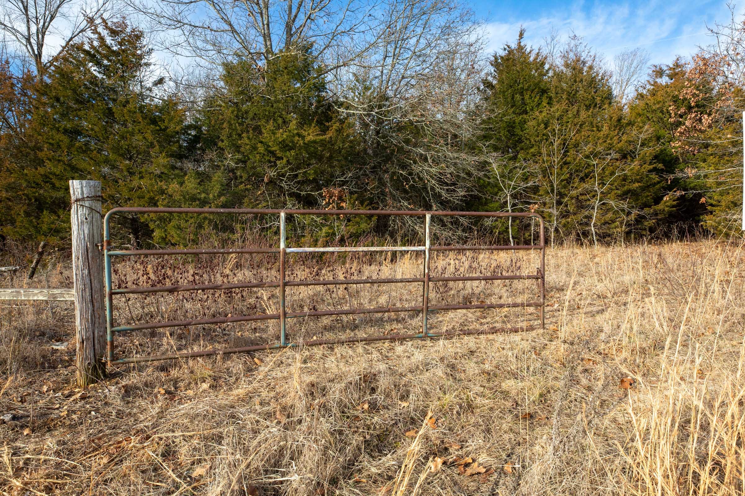 Forest Hill Tract 7 photo 2