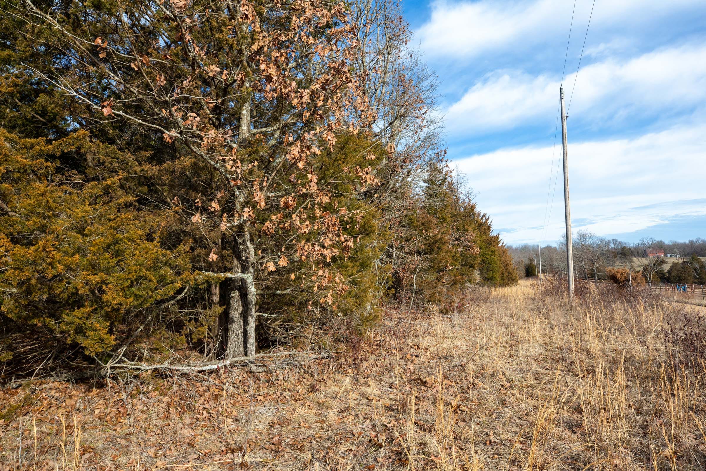 Forest Hill Tract 7 photo 6
