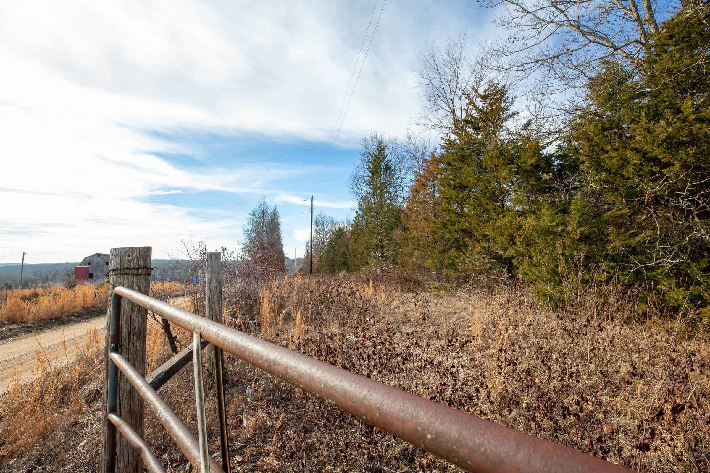 Forest Hill Tract 7 photo 5