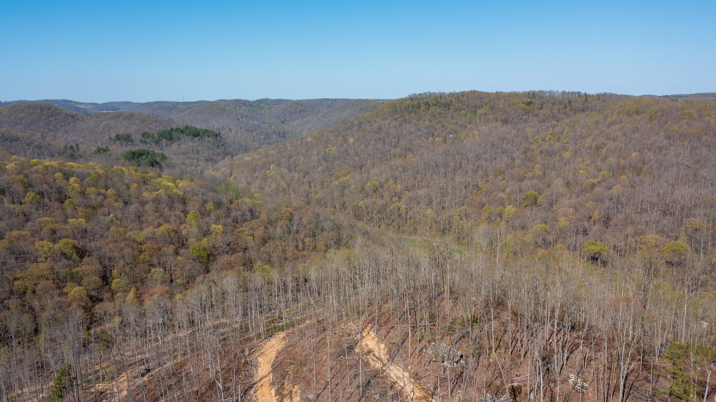 Creek Hollow Phase I Tract 39 photo 12
