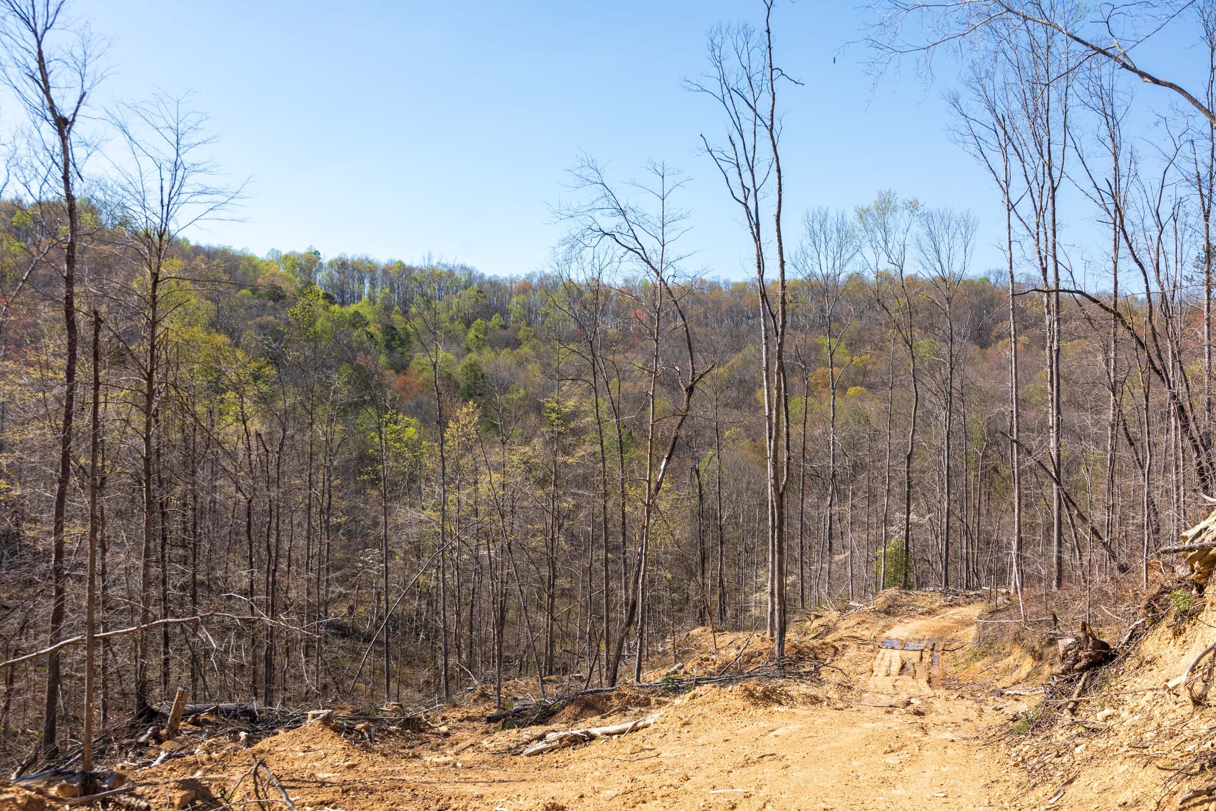 Creek Hollow Phase I Tract 39 photo 4