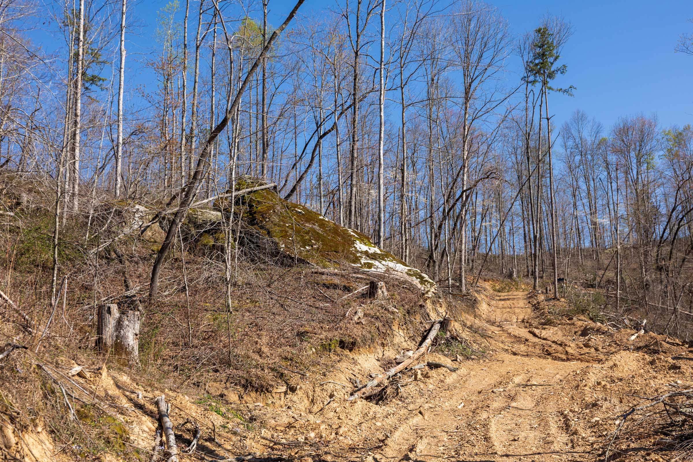 Creek Hollow Phase I Tract 39 photo 2