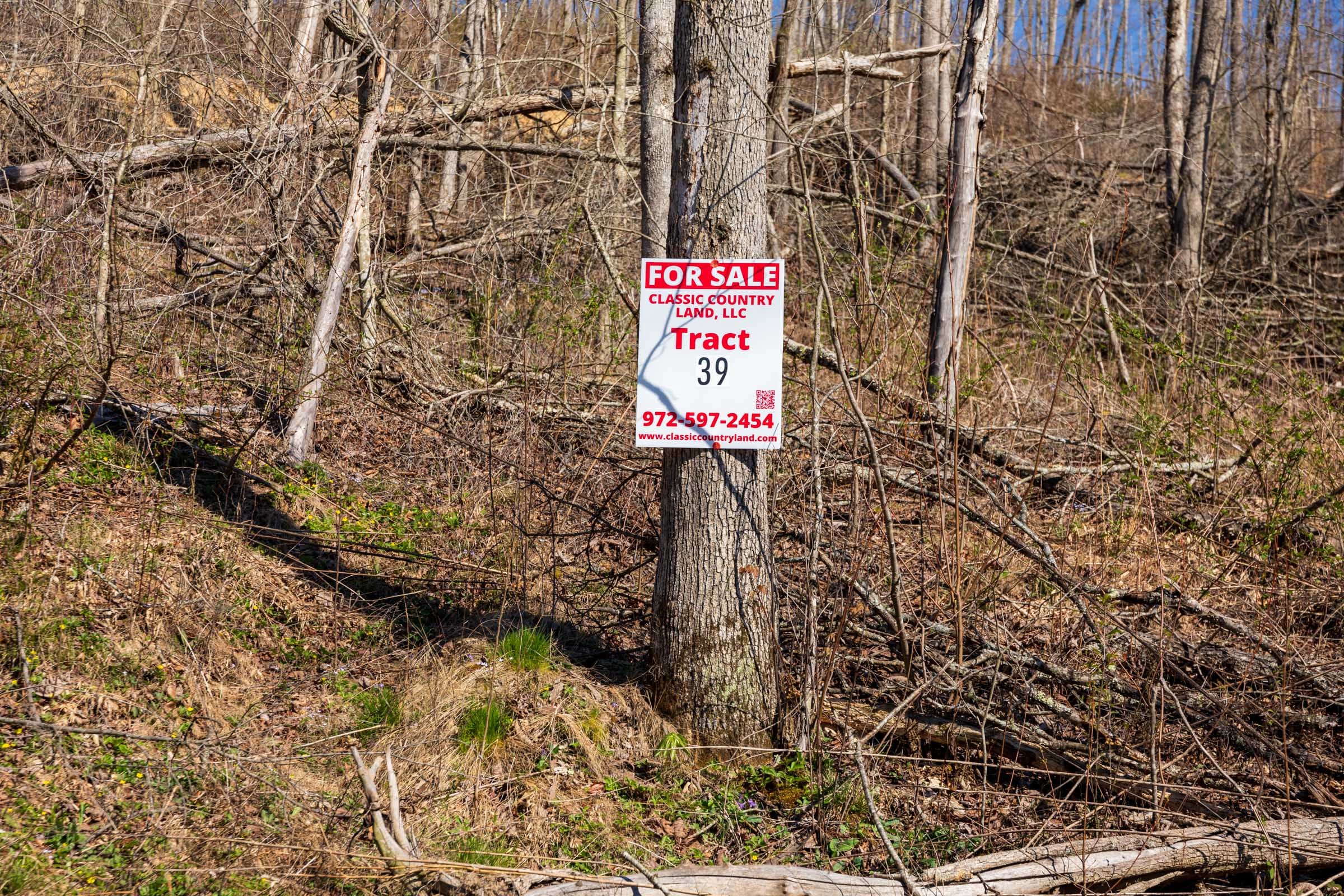 Creek Hollow Phase I Tract 39 photo 1