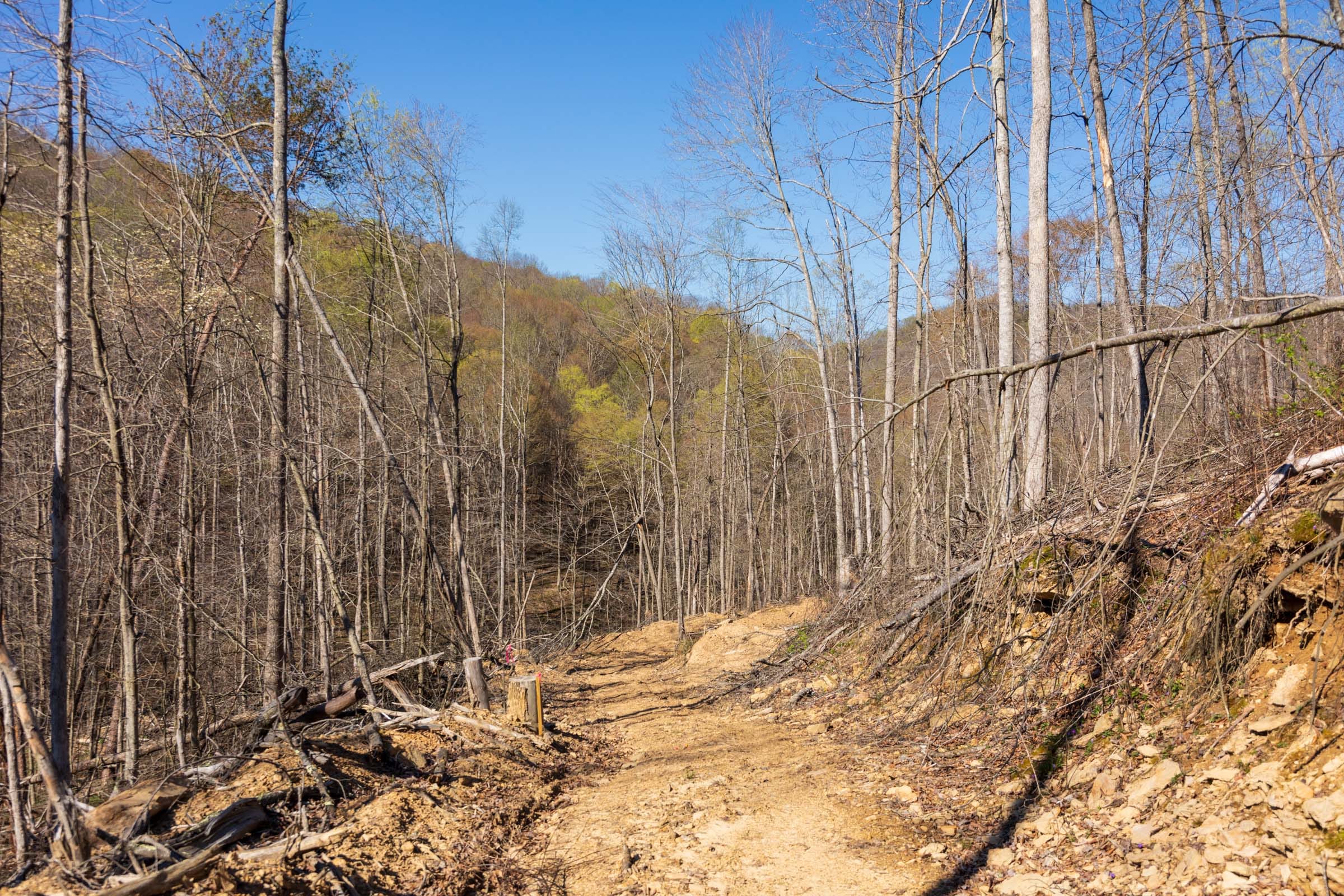 Creek Hollow Phase I Tract 39 photo 6