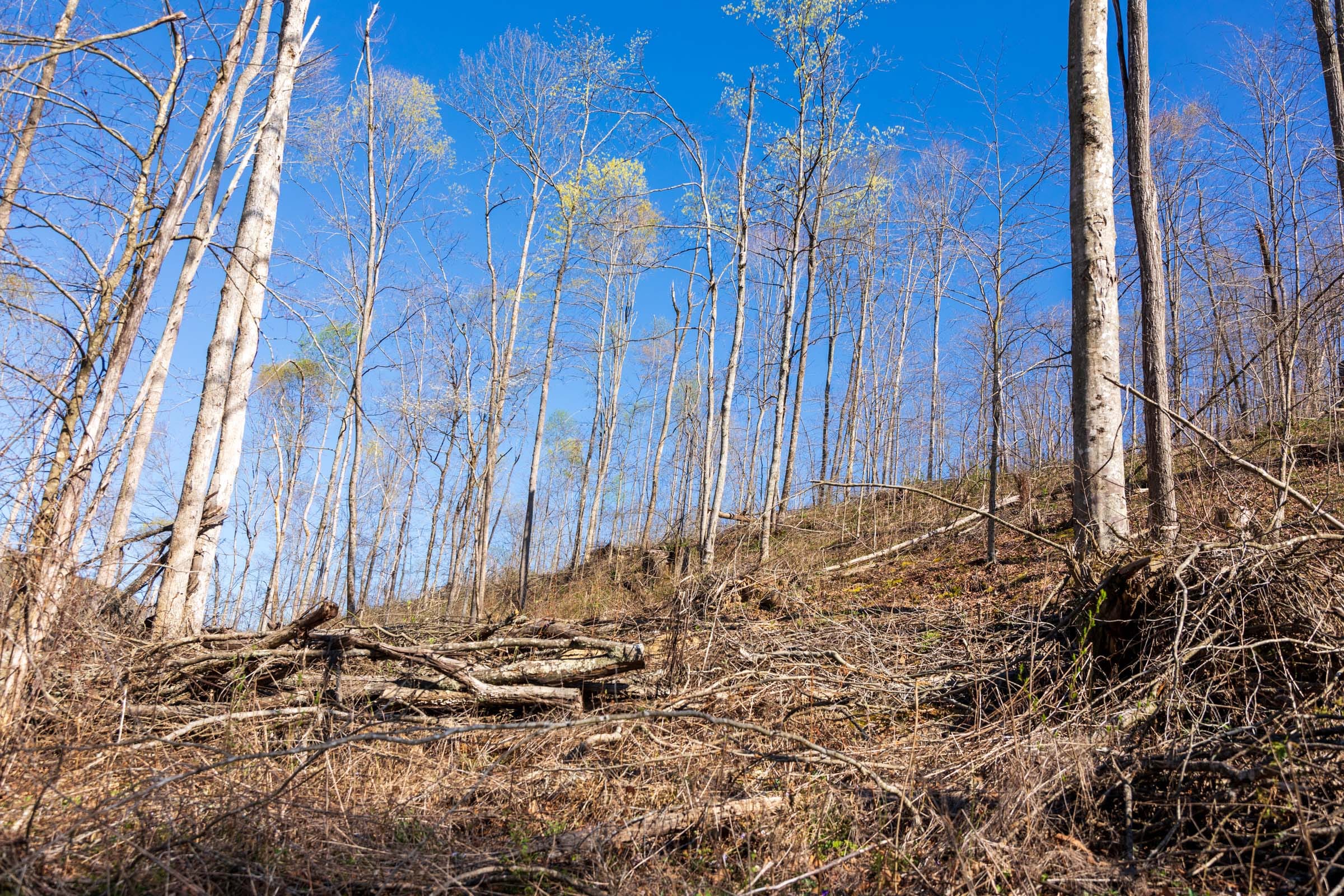 Creek Hollow Phase I Tract 39 photo 7